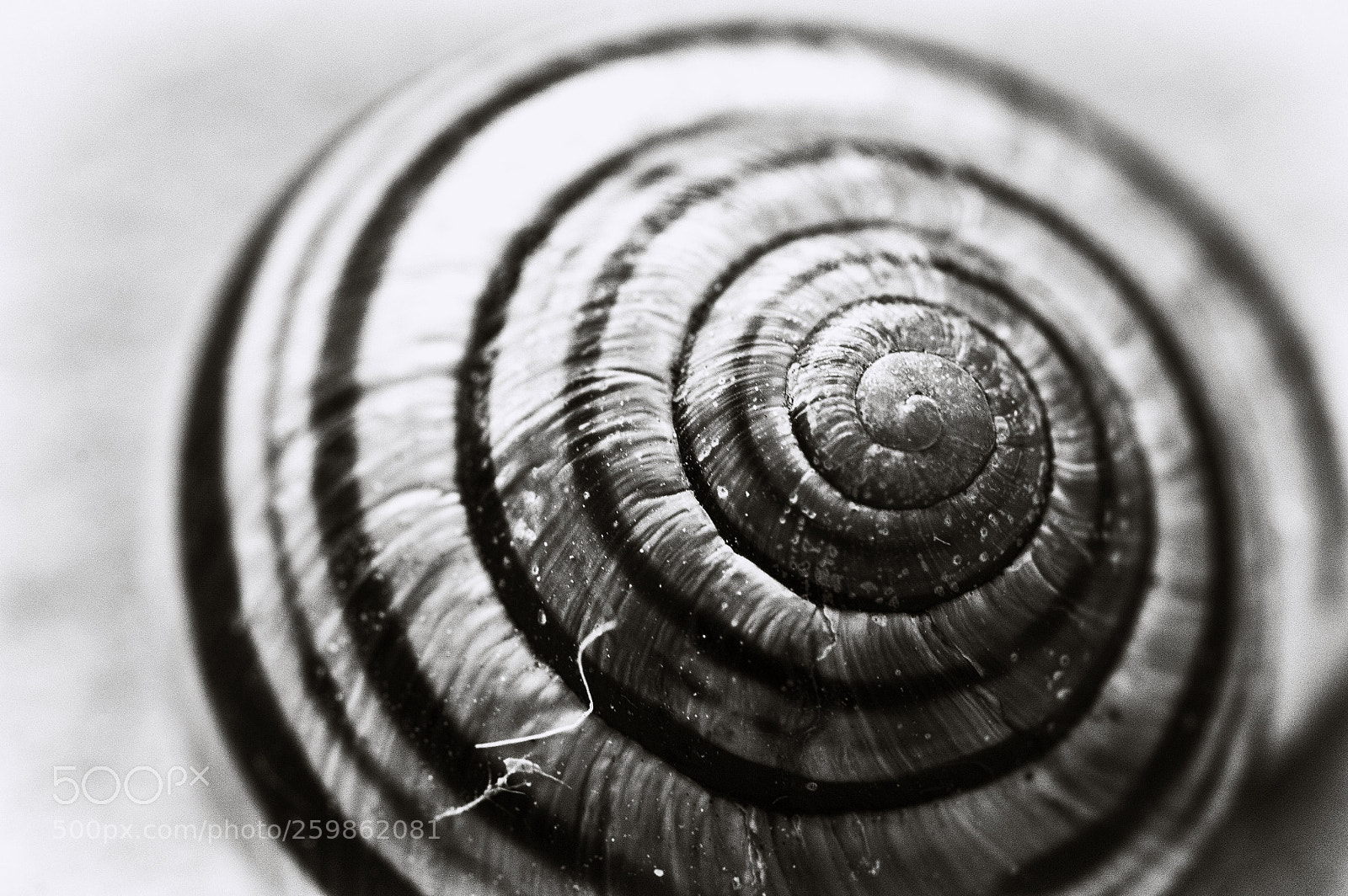 Nikon D3200 sample photo. Spiral photography