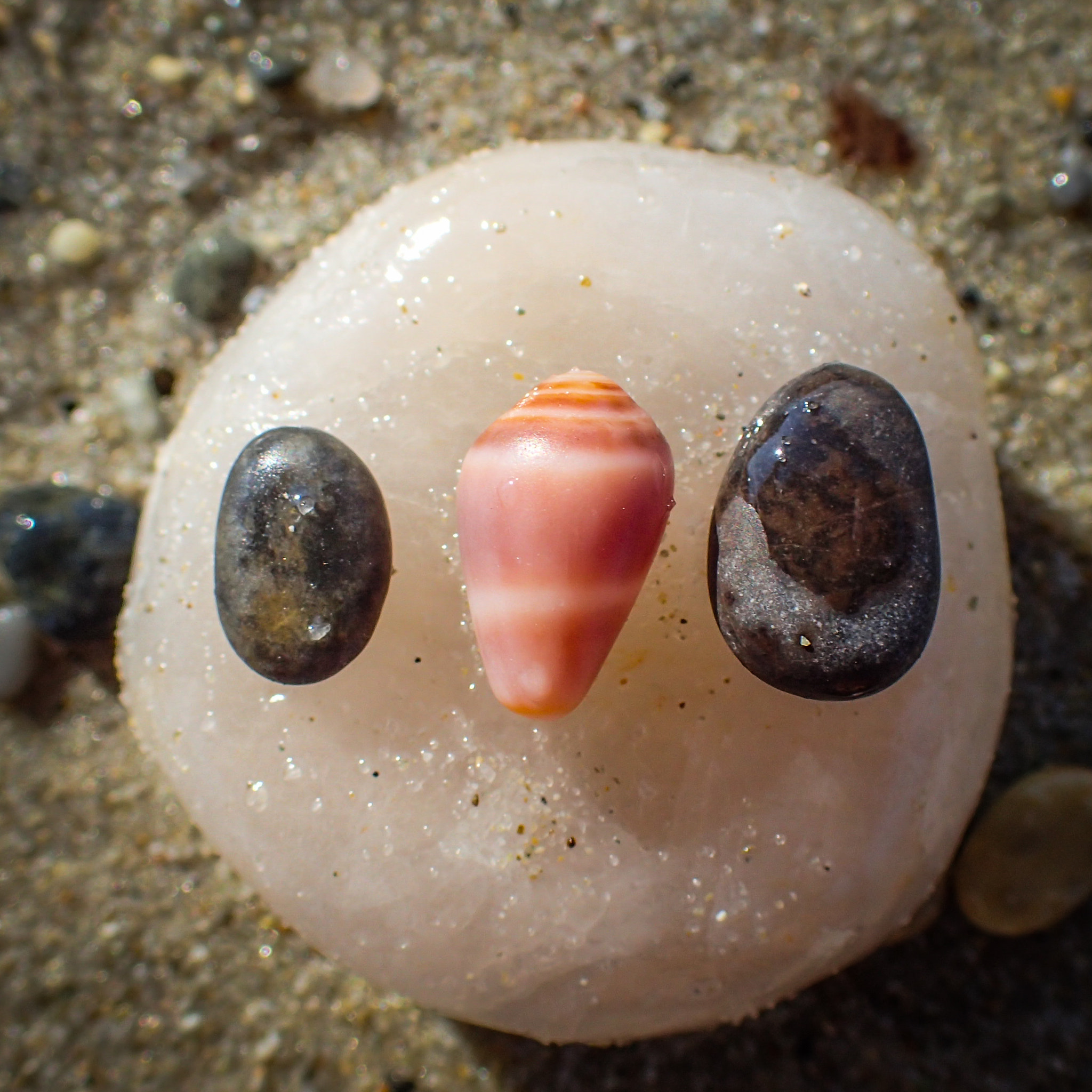 Olympus TG-4 sample photo. Small beach world photography