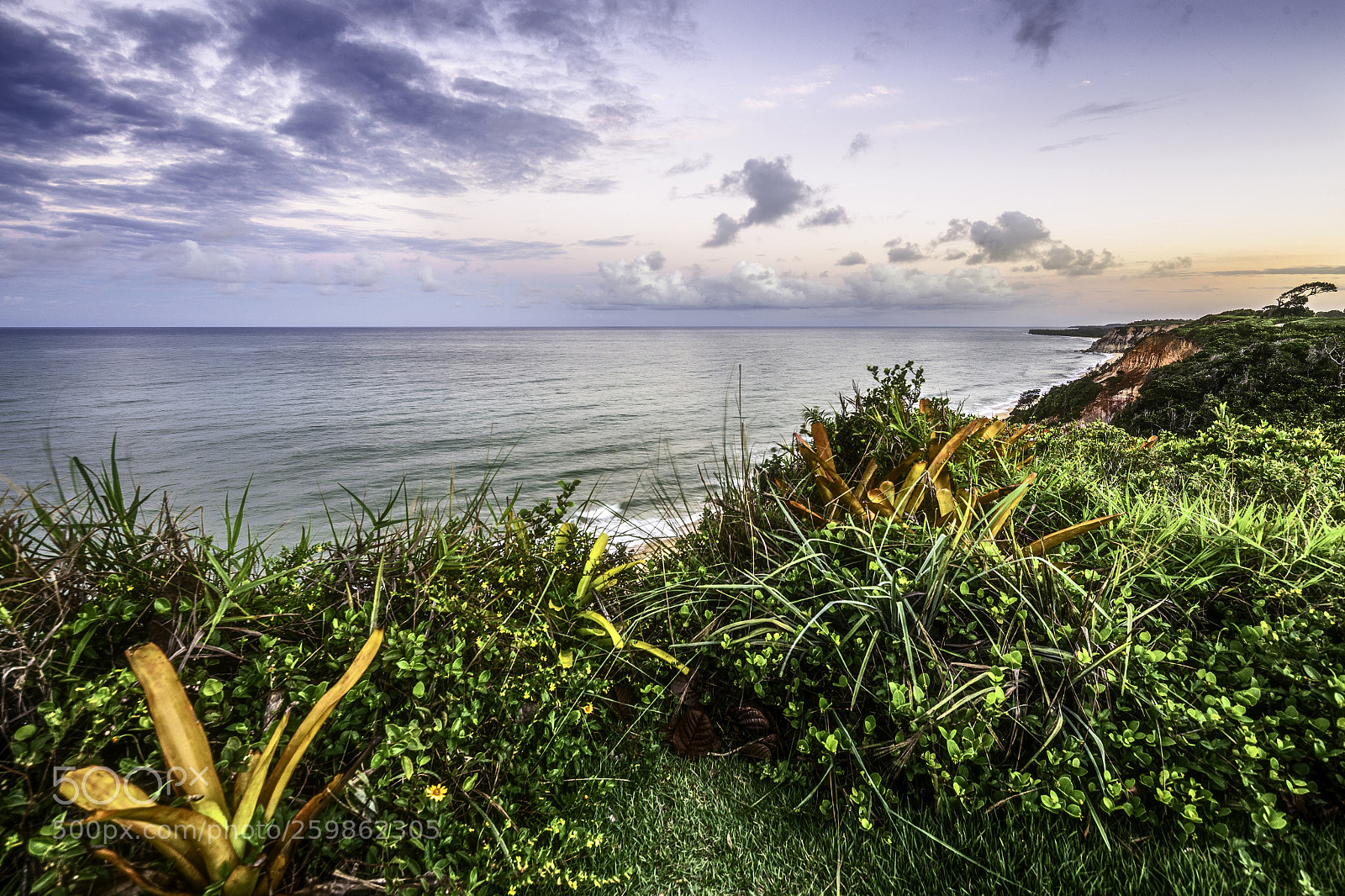 Canon EOS 6D sample photo. Falesias in trancoso, brazil photography