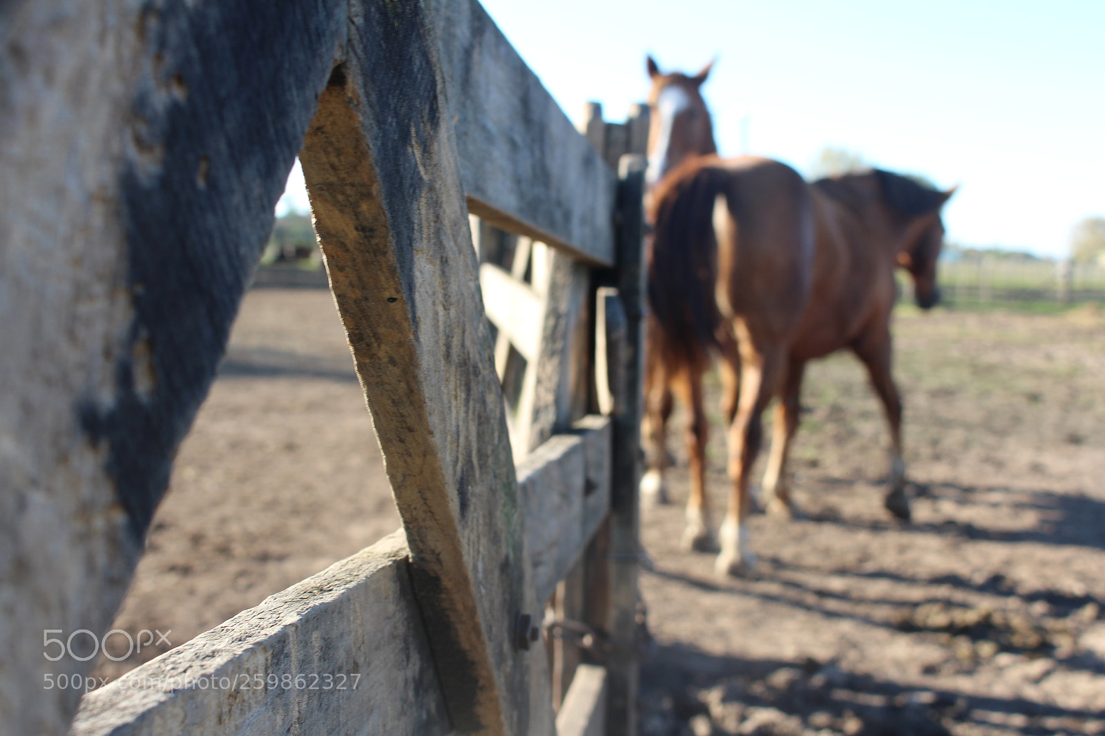 Canon EOS 700D (EOS Rebel T5i / EOS Kiss X7i) sample photo. La tranquera photography