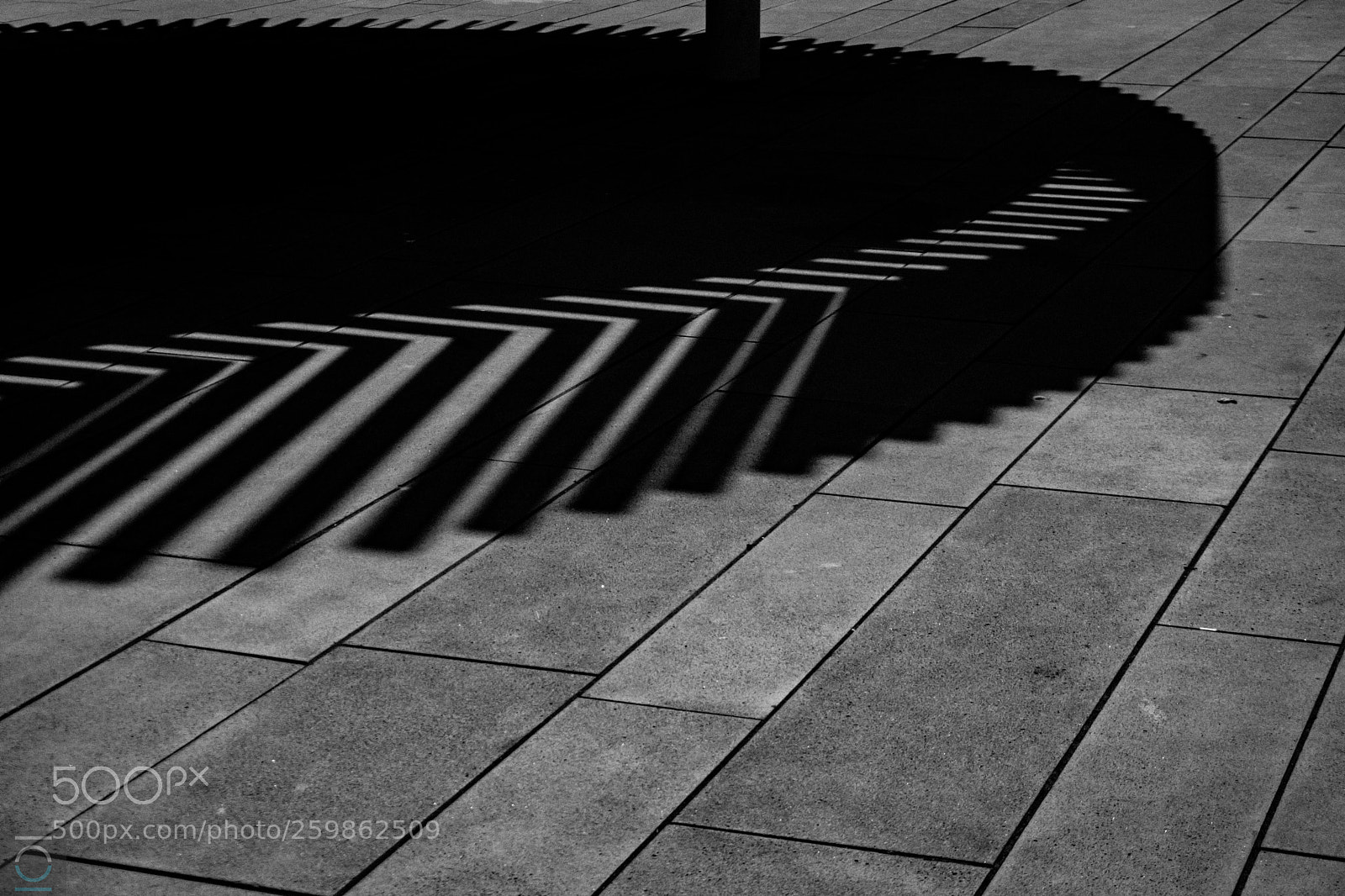 Sony a6000 sample photo. Curved shadows photography