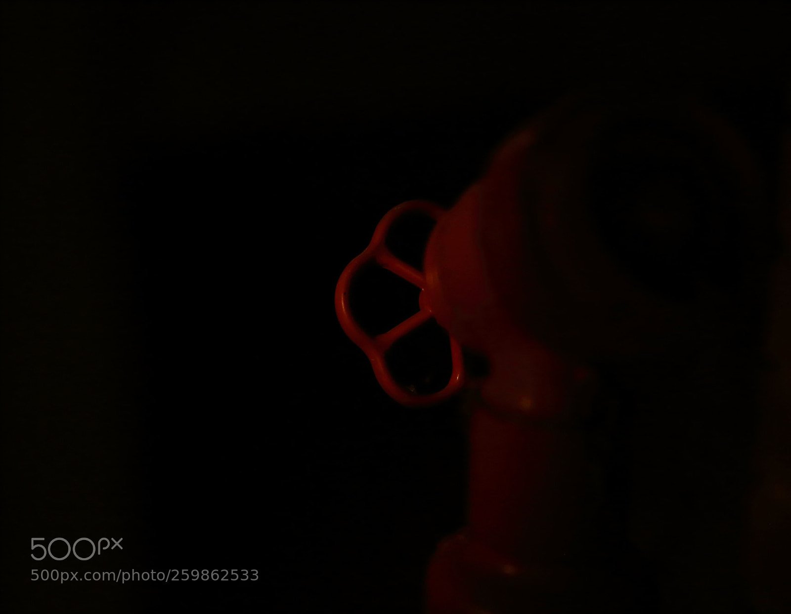 Canon EOS-1D Mark IV sample photo. Intime parts 1 photography