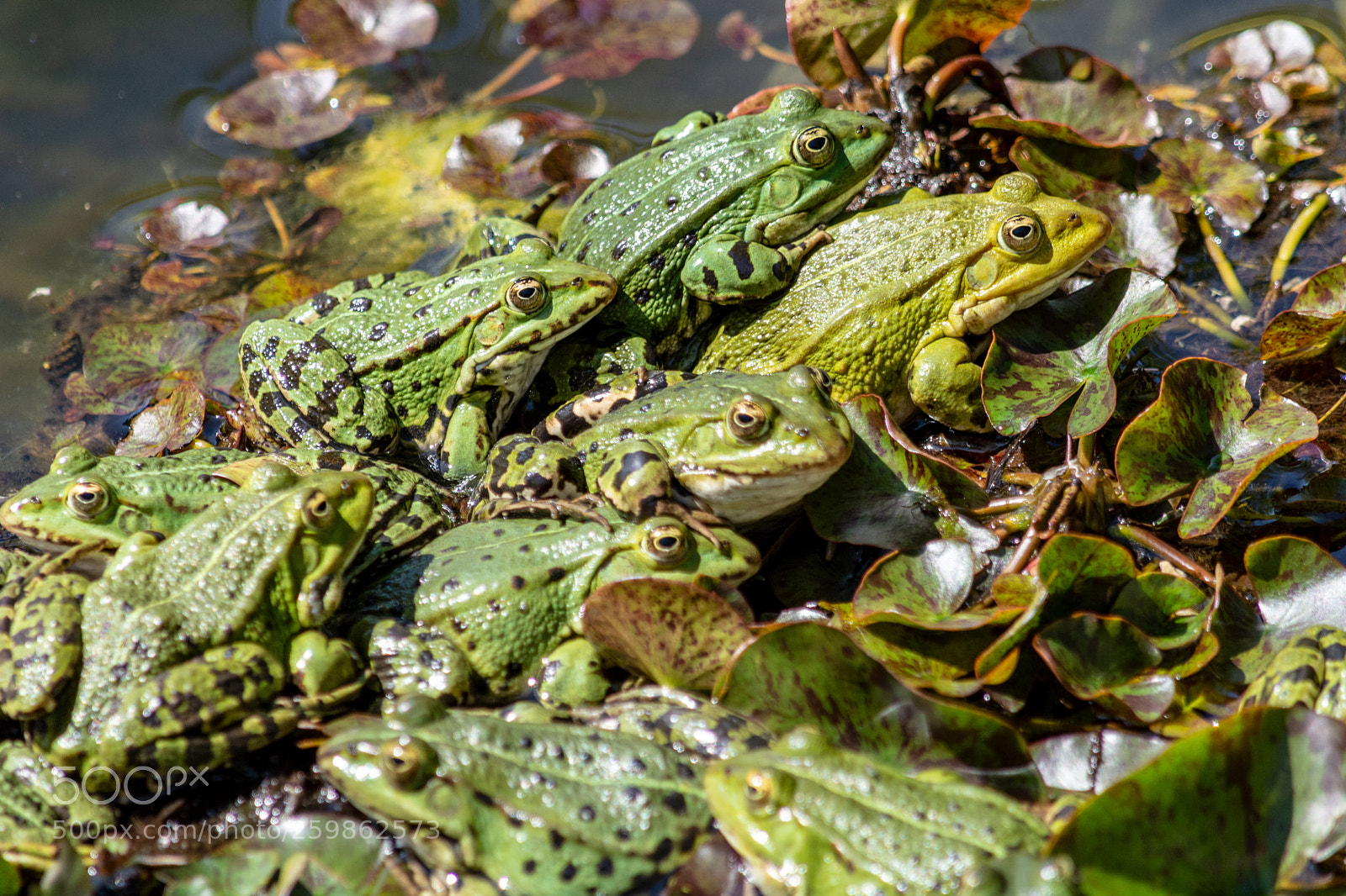 Nikon D7200 sample photo. Per un pugno di photography