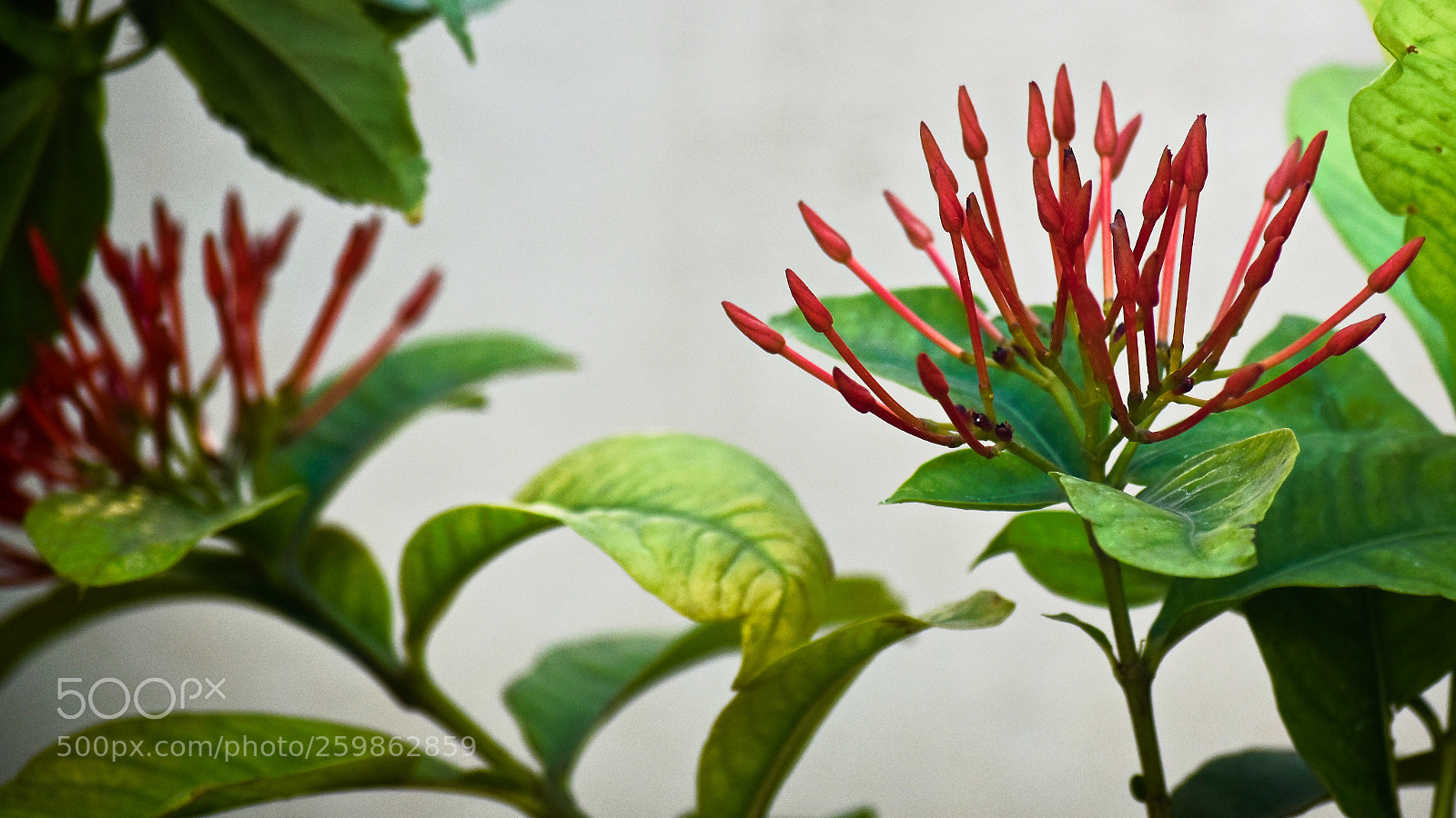 Nikon D5500 sample photo. Untitled photography
