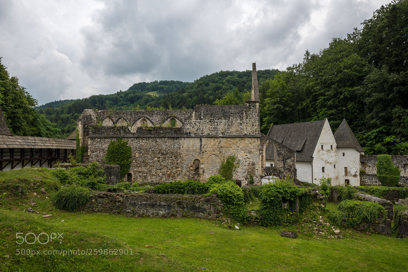 Nikon D850 sample photo. Zice monastery - ruin photography