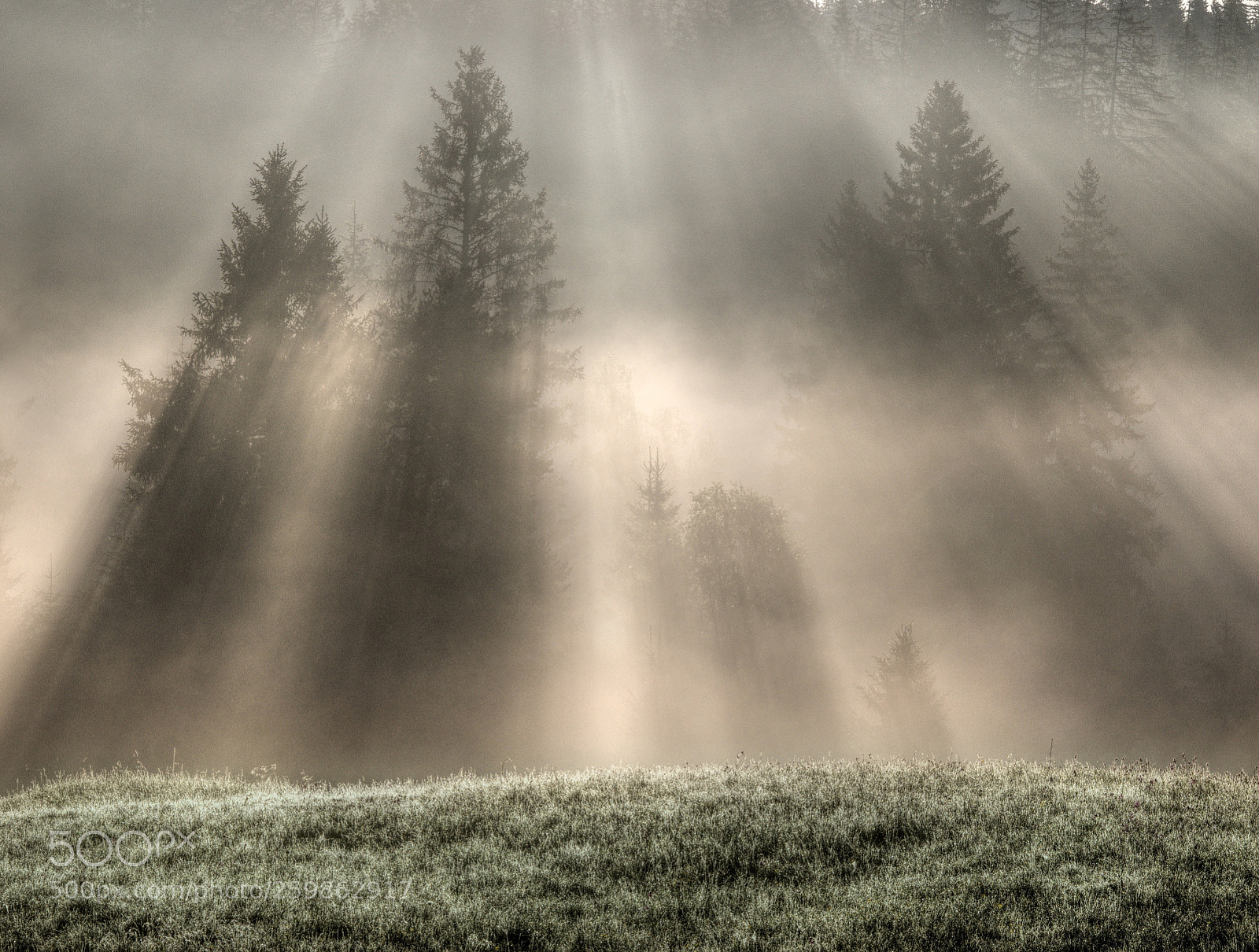 Canon EOS 600D (Rebel EOS T3i / EOS Kiss X5) sample photo. Sun rays on Šumava photography