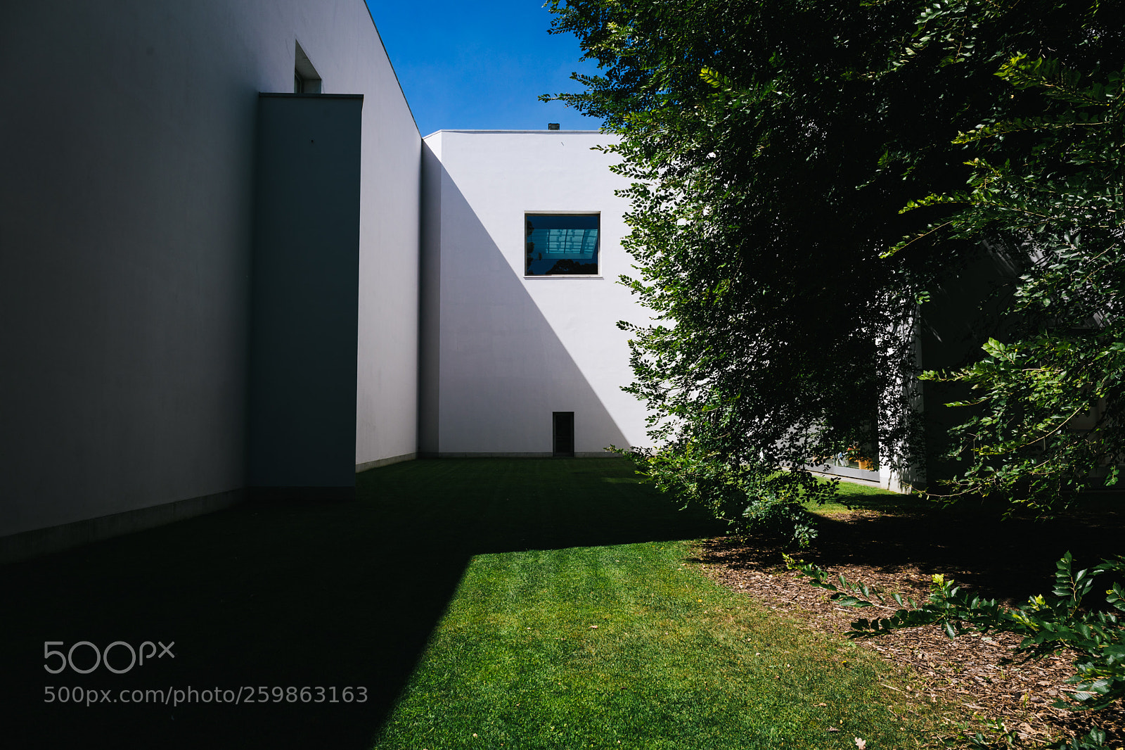 Canon EOS 5D Mark IV sample photo. Serralves museum #2 photography