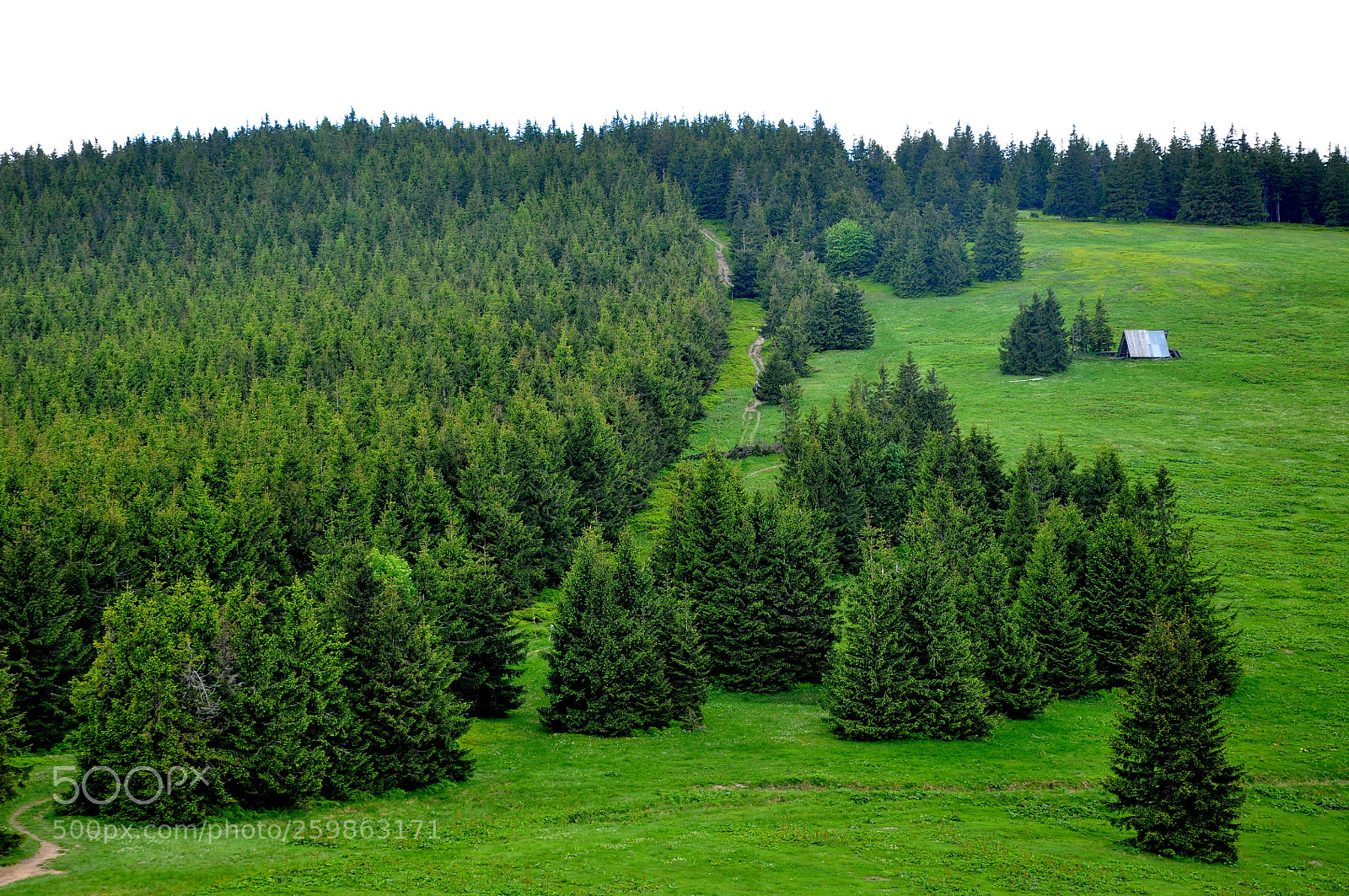Nikon D90 sample photo. Little house // mountains photography