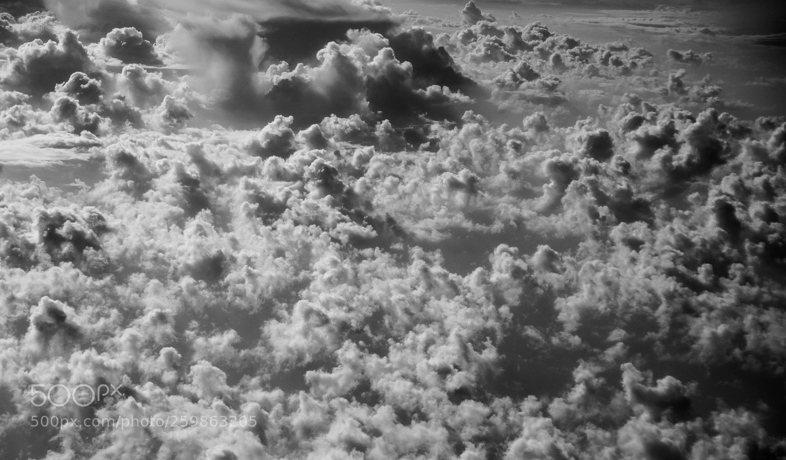 Nikon D3200 sample photo. Untitled photography
