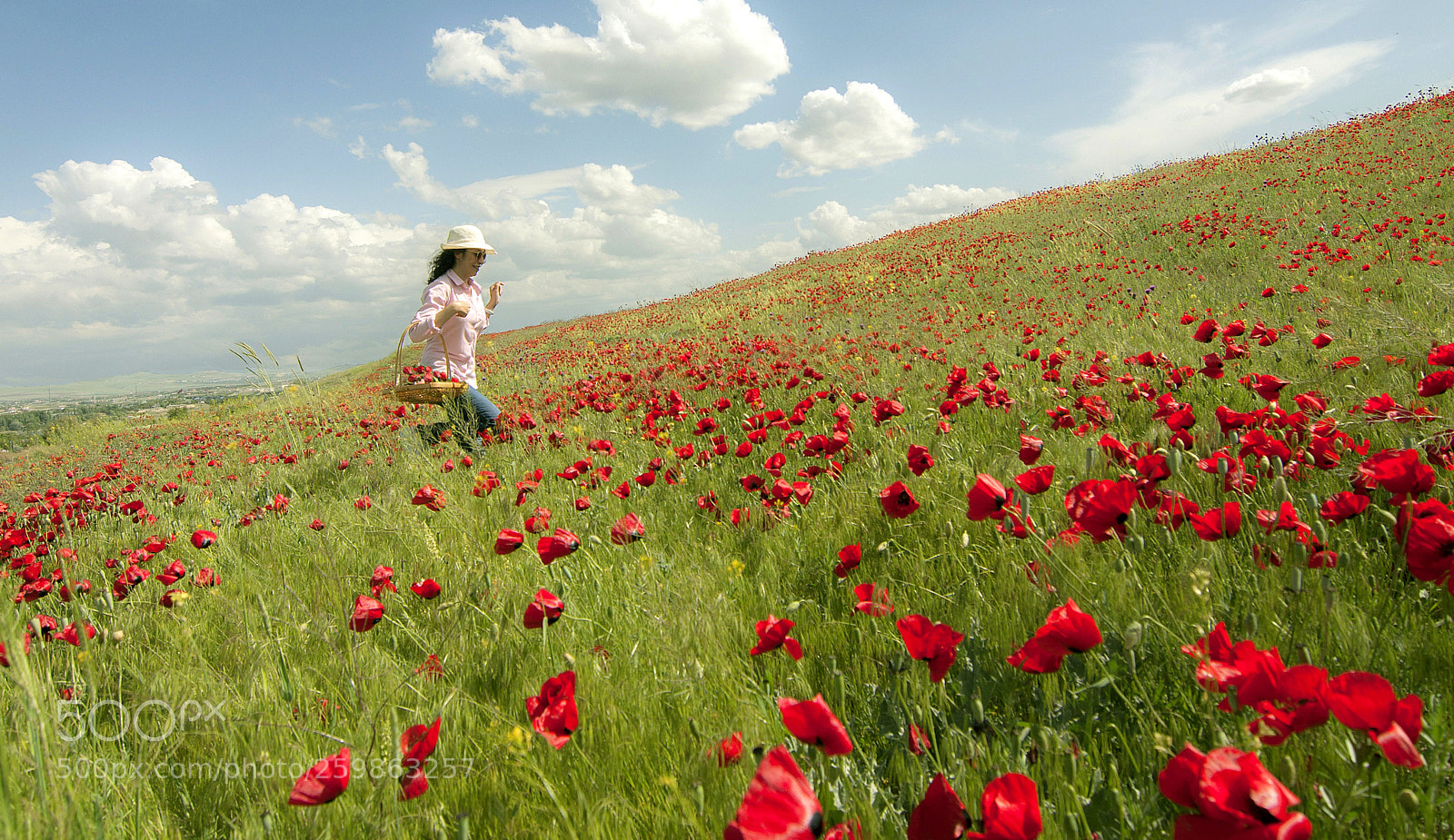 Nikon D90 sample photo. İn the poppy field photography