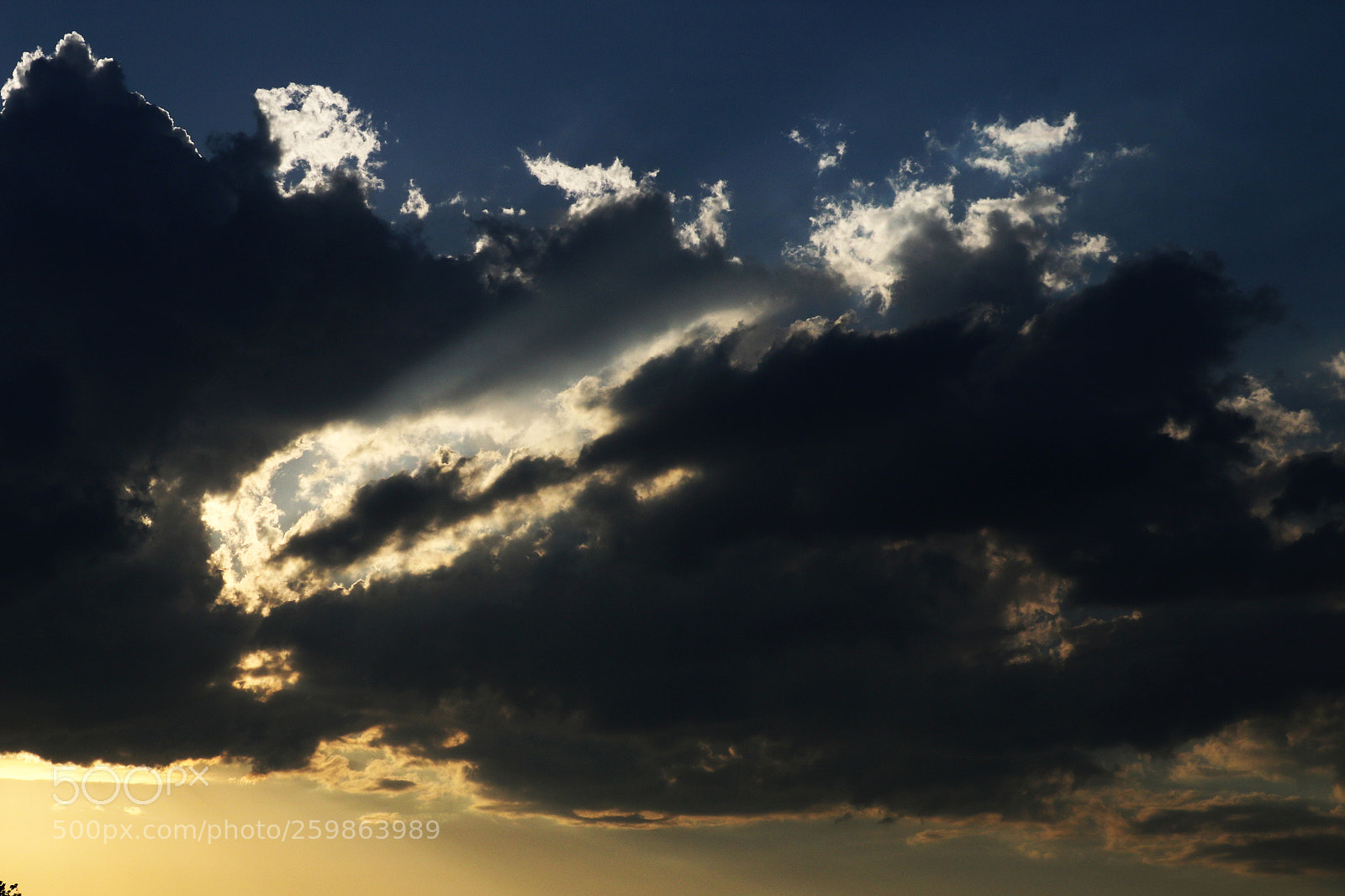 Canon EOS 750D (EOS Rebel T6i / EOS Kiss X8i) sample photo. A view of the photography