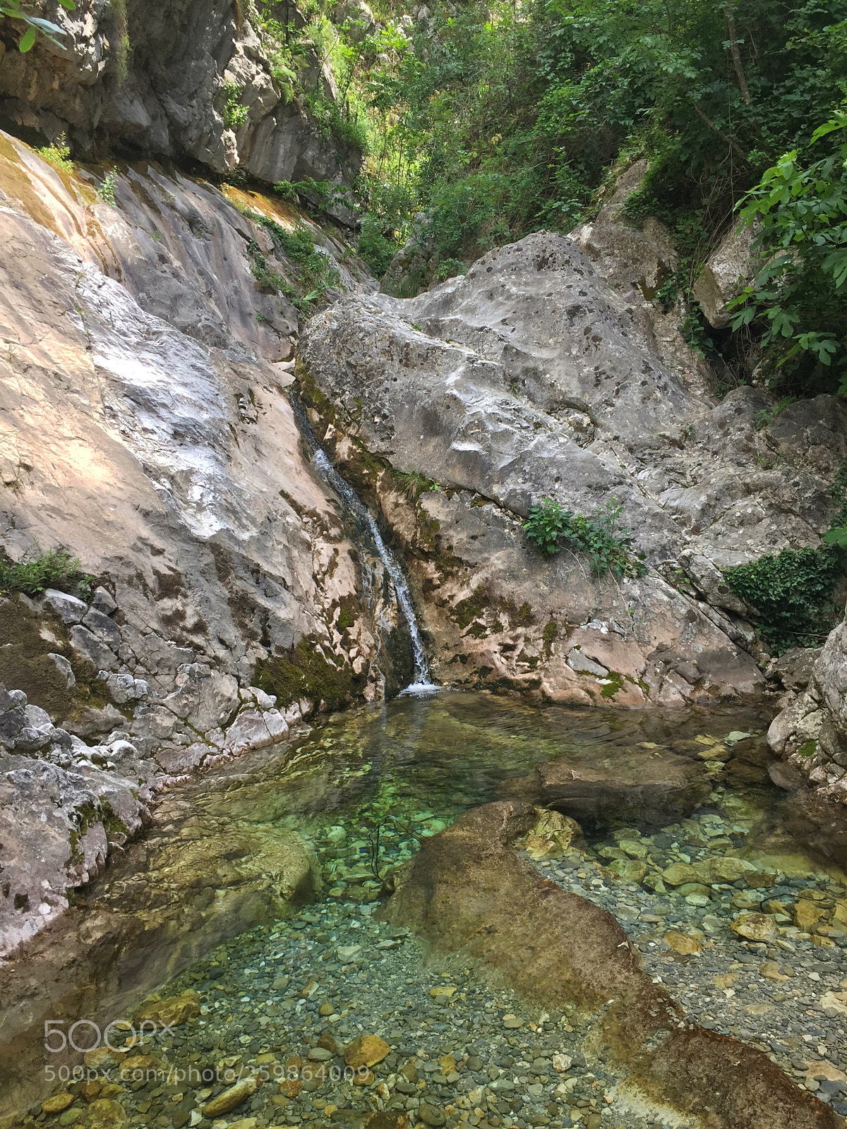 Apple iPhone 6 sample photo. Img photography