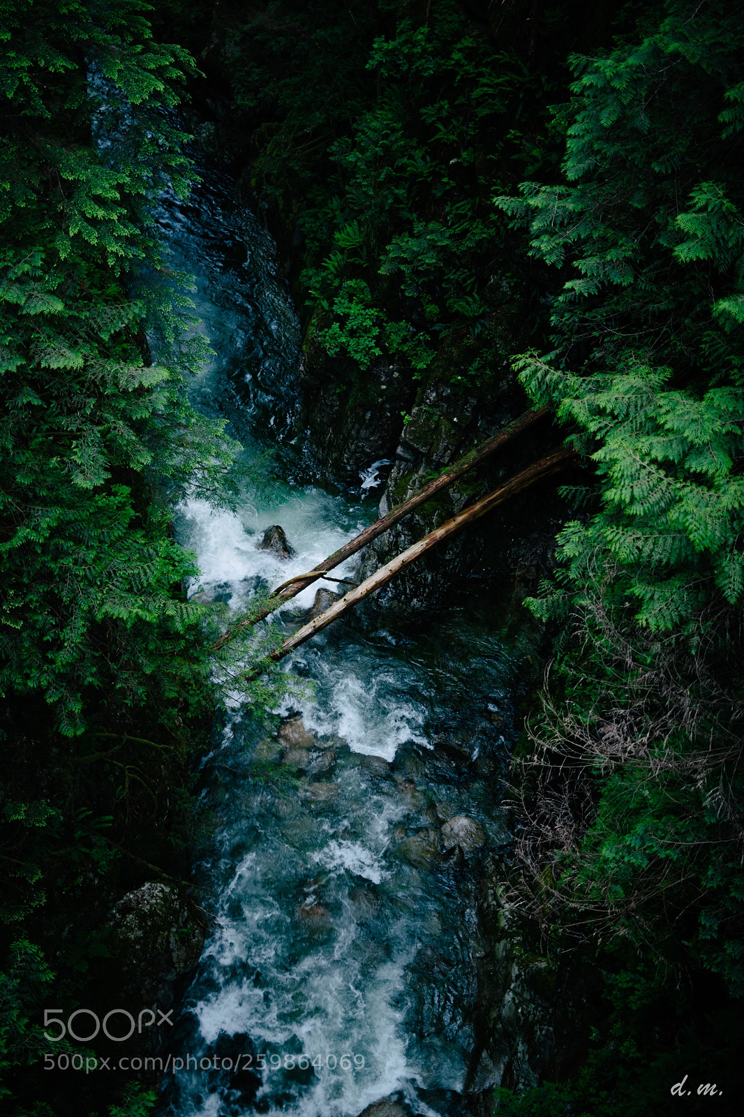 Canon EOS 6D sample photo. Lynn headwaters photography