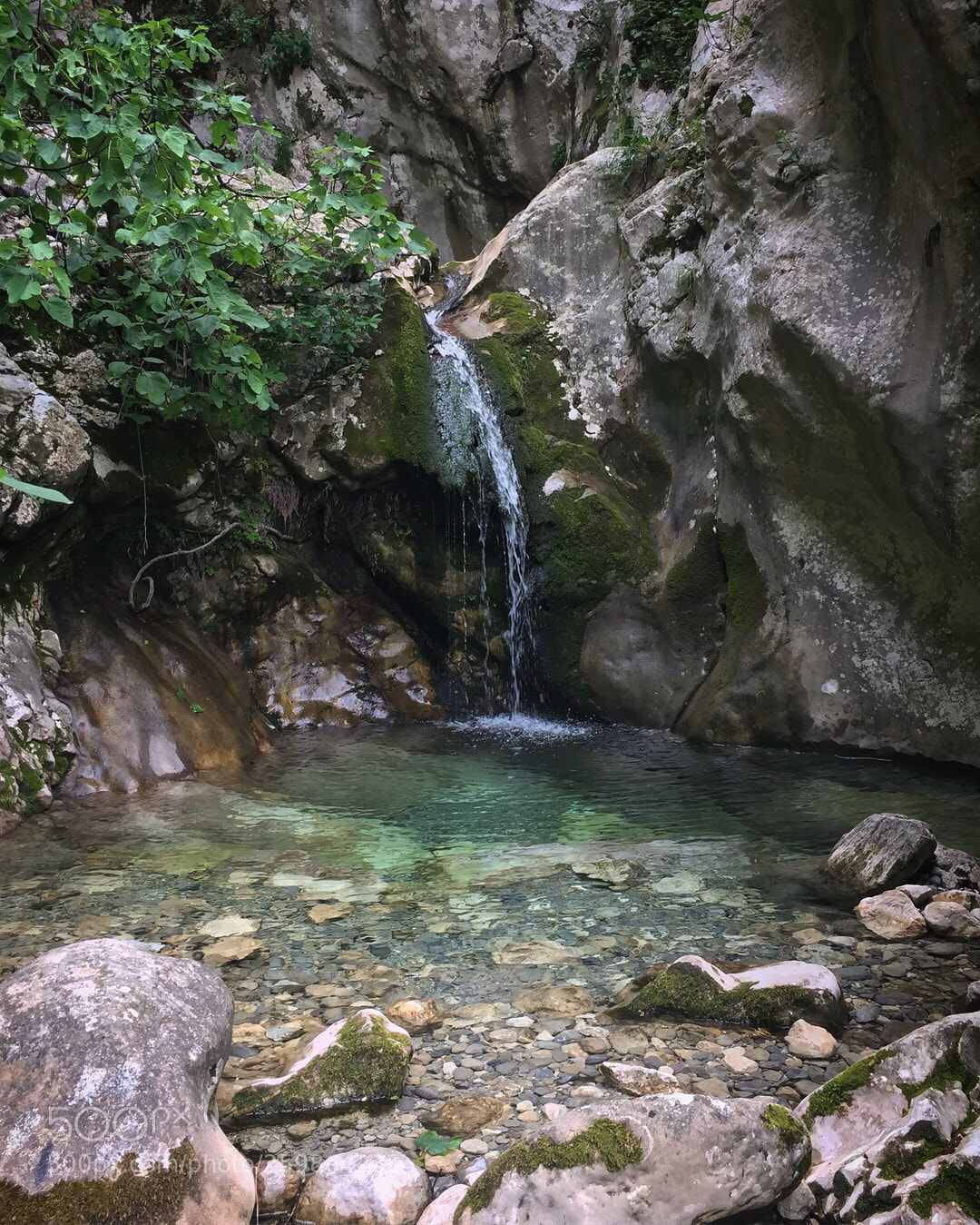 Apple iPhone 6 sample photo. Img photography