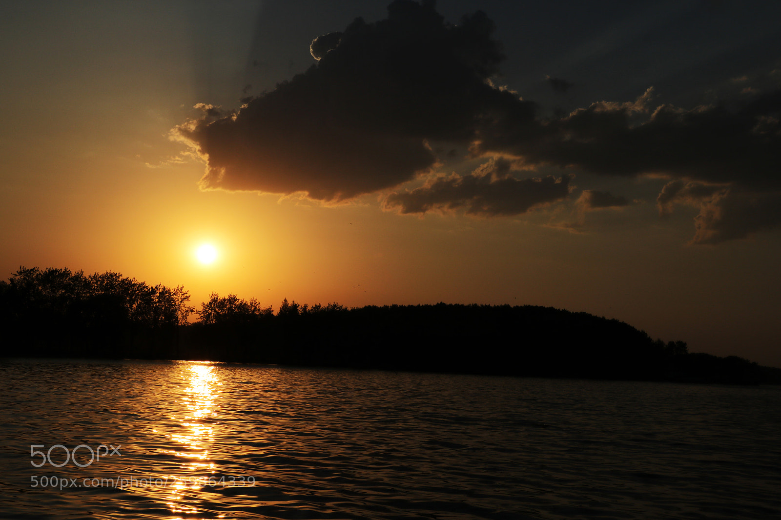 Canon EOS 750D (EOS Rebel T6i / EOS Kiss X8i) sample photo. Bright yellow sky during photography