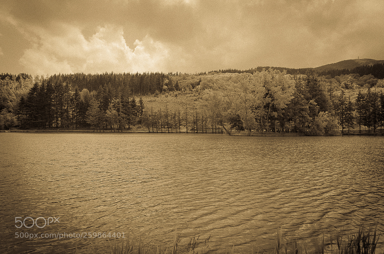 Nikon D5100 sample photo. Lago acquapartita photography
