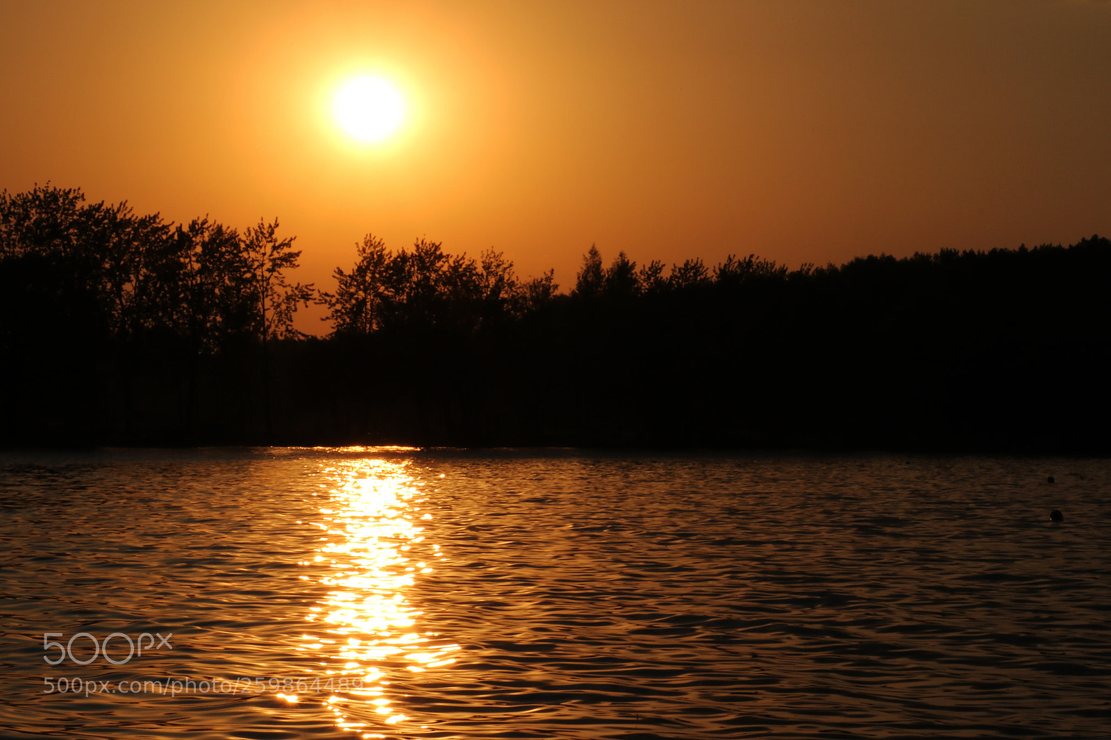 Canon EOS 750D (EOS Rebel T6i / EOS Kiss X8i) sample photo. Bright yellow sky during photography