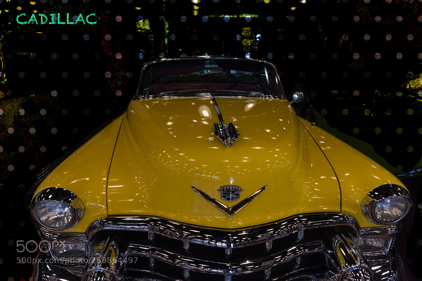 Nikon D810 sample photo. Would you like to photography