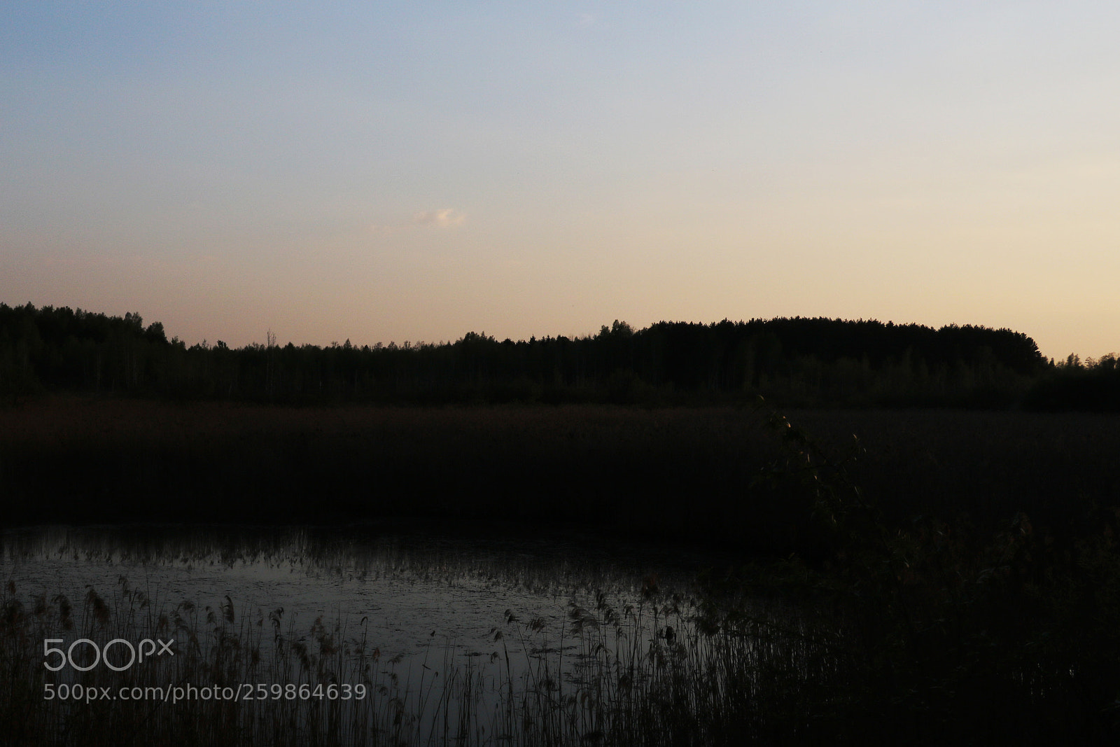 Canon EOS 750D (EOS Rebel T6i / EOS Kiss X8i) sample photo. Beautiful sunset on the photography