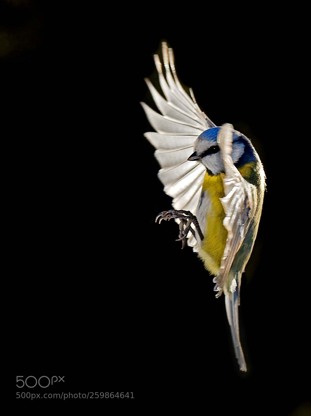 Canon EOS 5D Mark IV sample photo. In flight photography