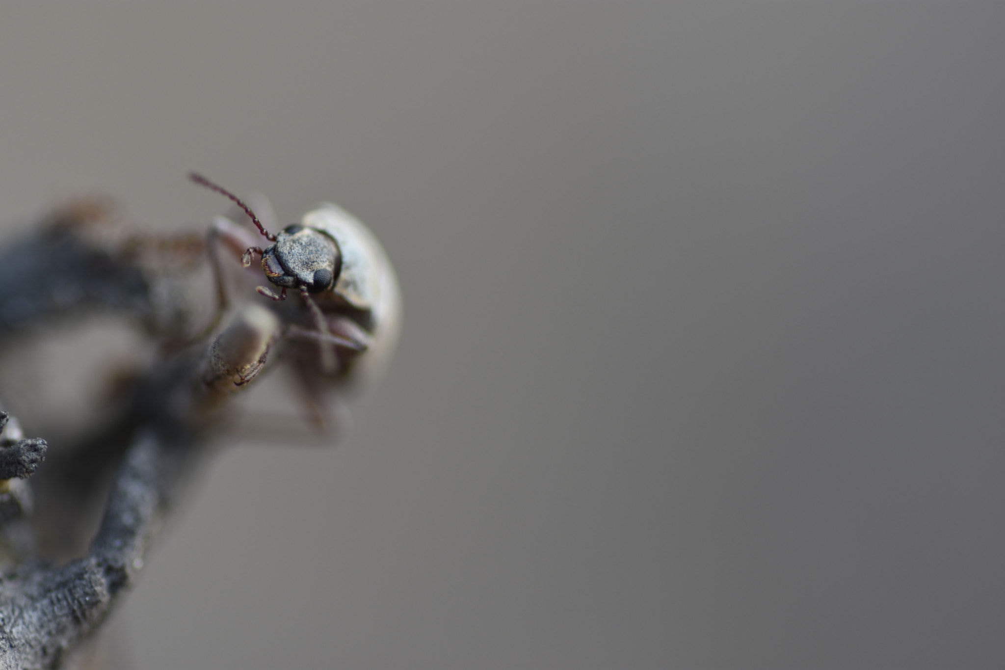 Nikon D7200 sample photo