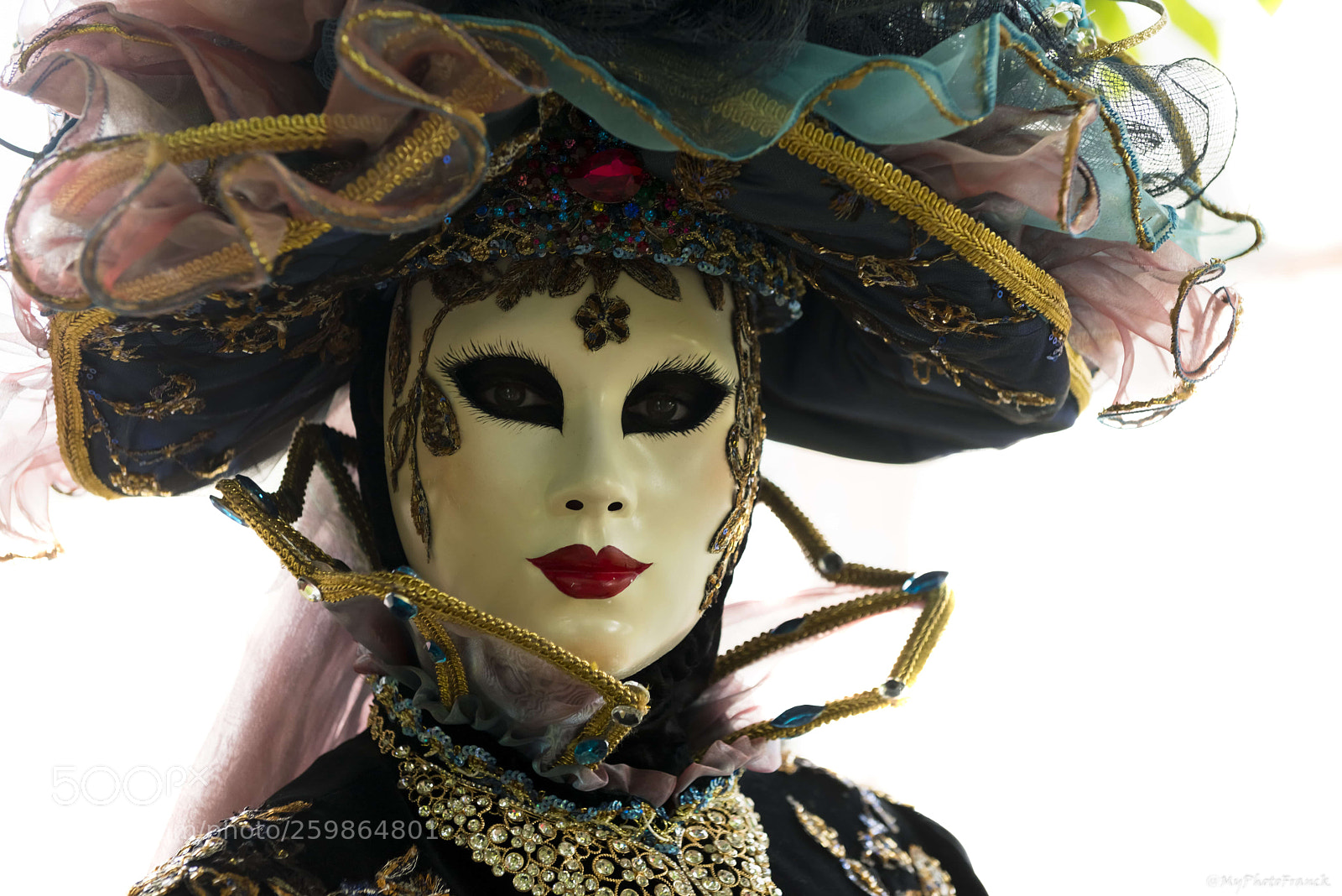 Nikon D800E sample photo. Visage vénitien photography