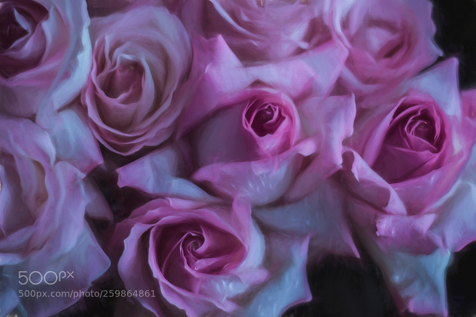 Canon EOS 60D sample photo. Roses photography
