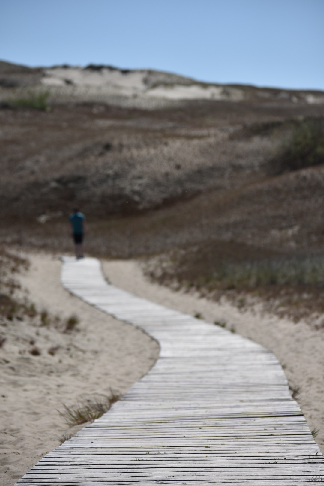 Nikon D3400 sample photo. Curonian dunes photography