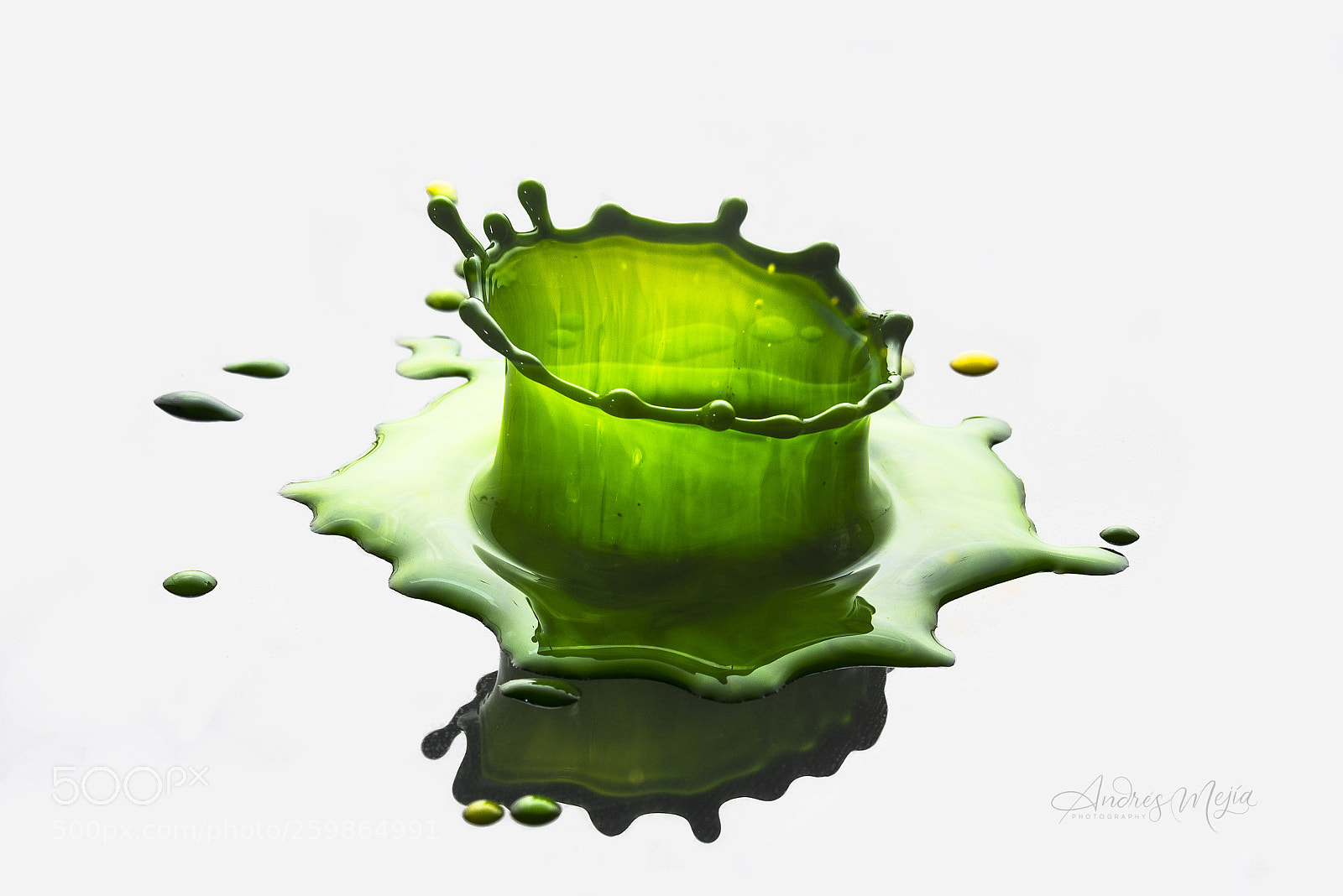 Nikon D810 sample photo. Green drop photography