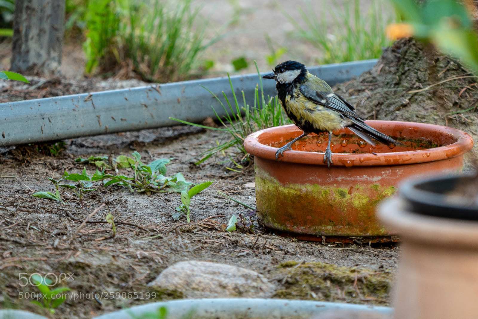 Panasonic Lumix DMC-GH4 sample photo. Untitled photography