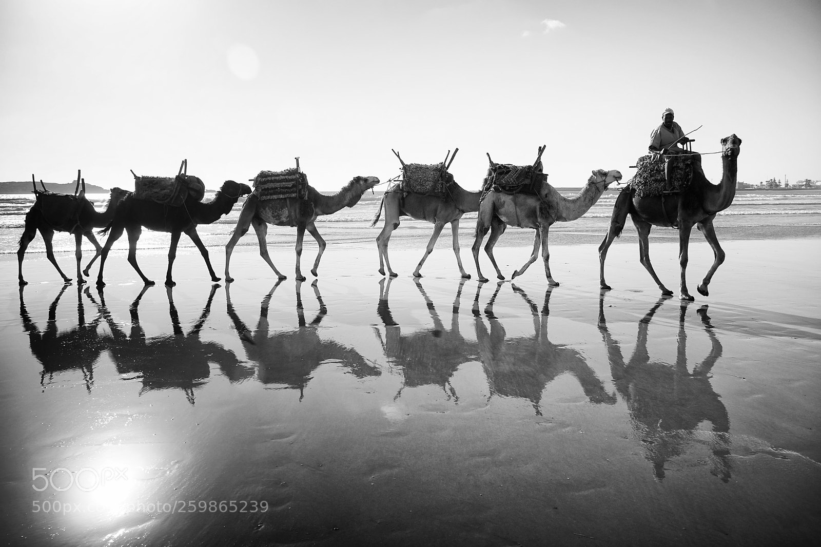 Sony a6500 sample photo. Camels in the ocean photography