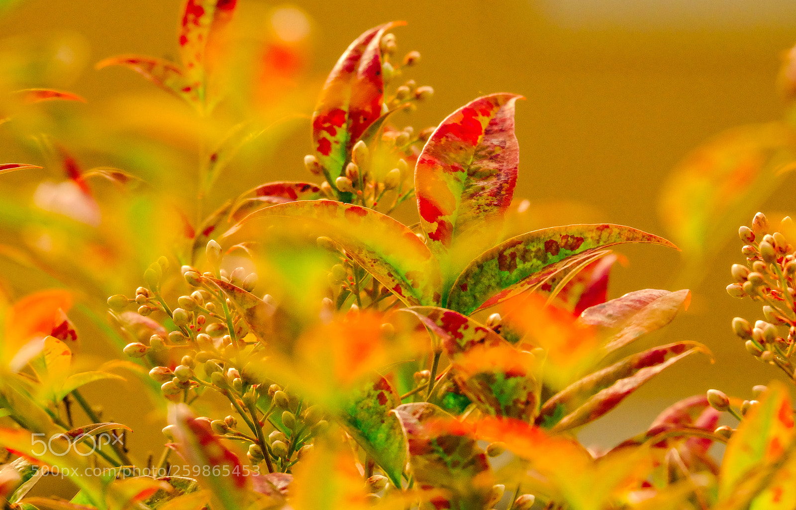 Fujifilm X-T10 sample photo. Springtime photography