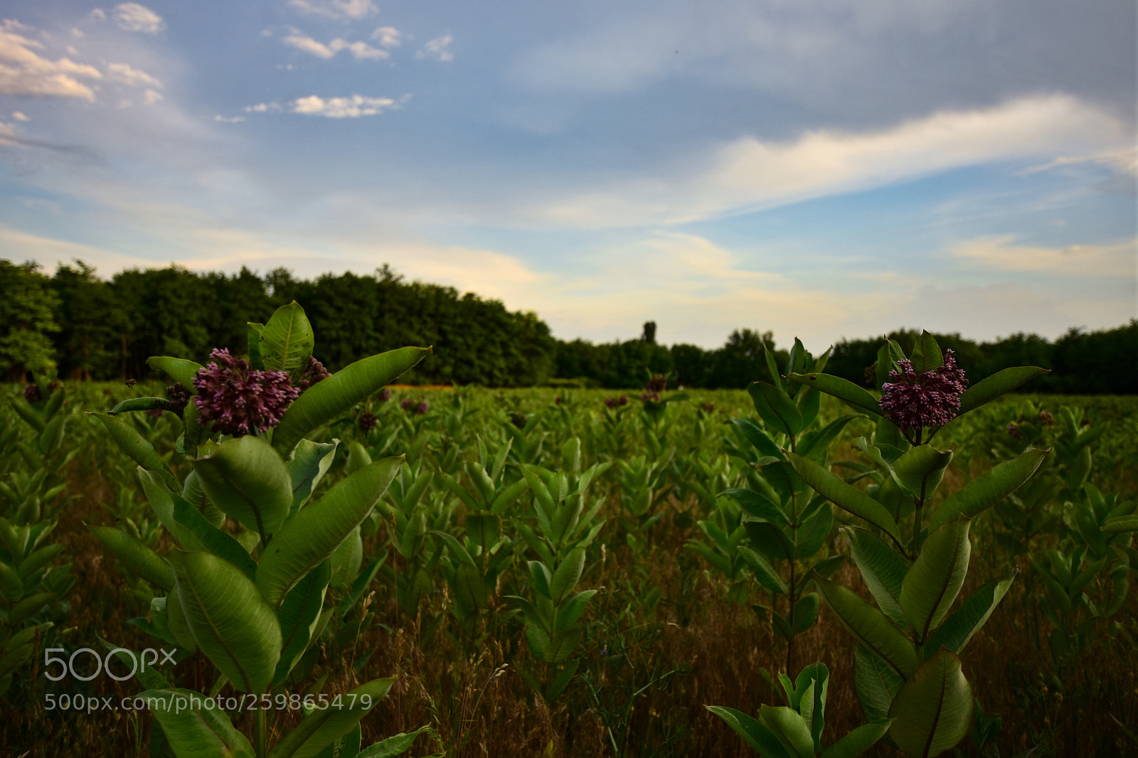 Nikon D7200 sample photo. Untitled photography