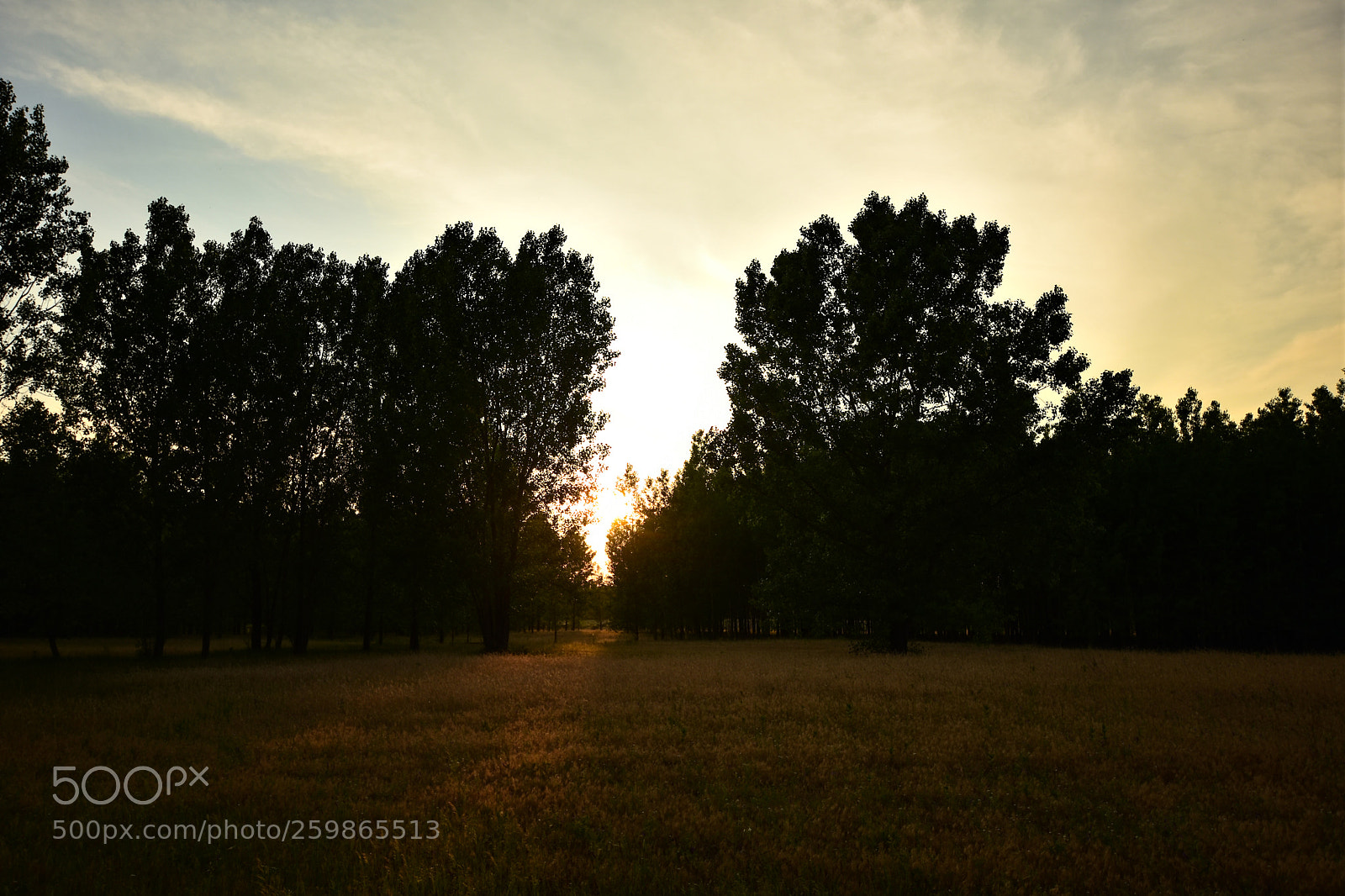 Nikon D7200 sample photo. Untitled photography