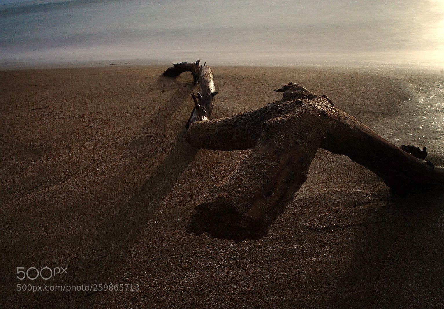 Sony ILCA-77M2 sample photo. Untitled photography