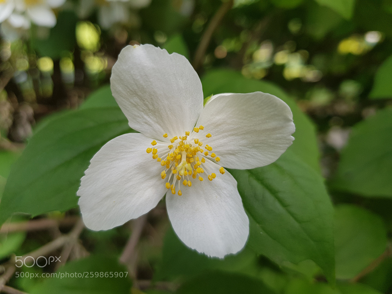 Samsung Galaxy S8 sample photo. Untitled photography