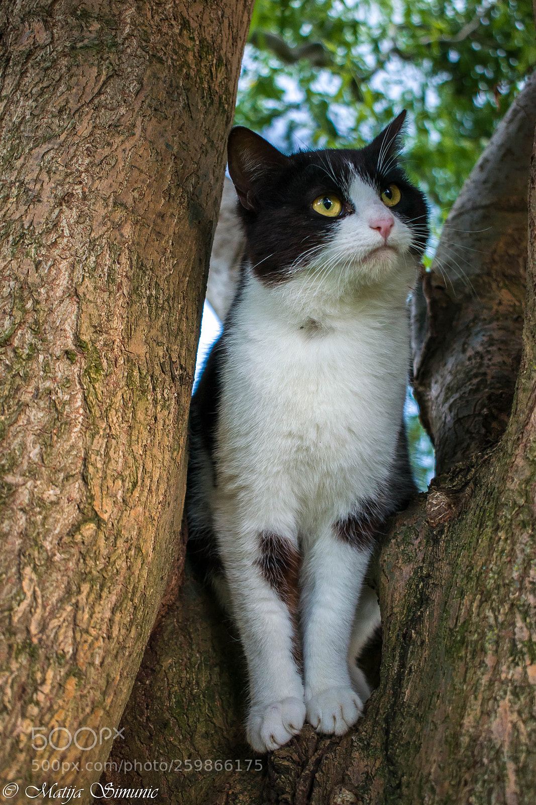 Nikon D5300 sample photo. What i'm looking? photography