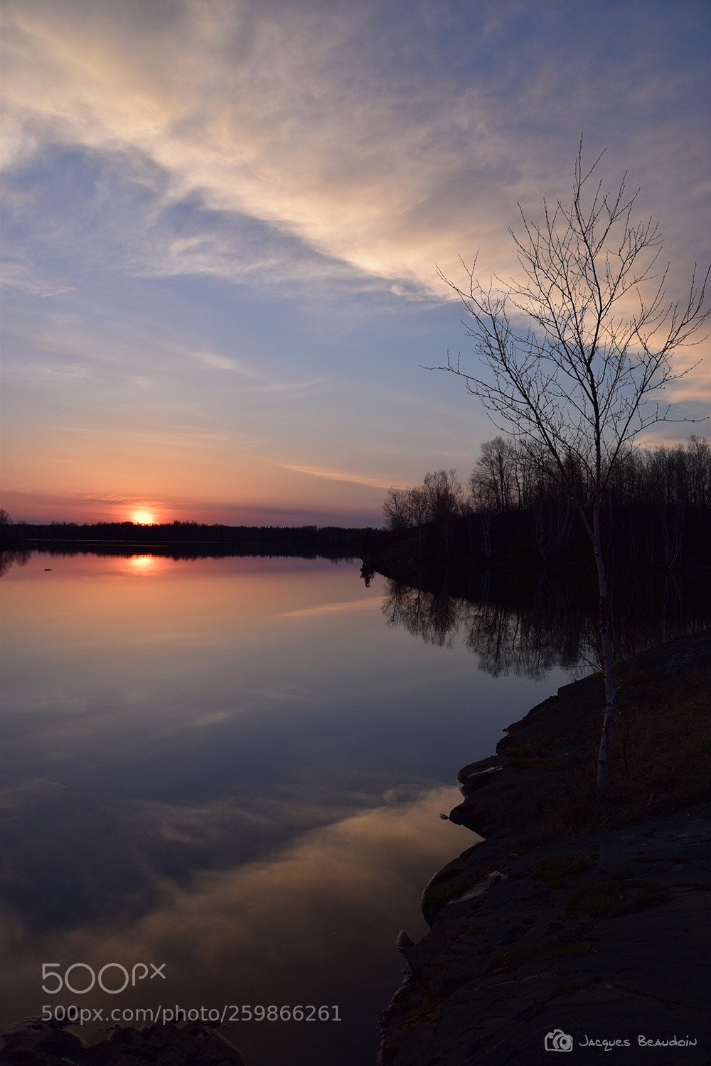 Nikon D5500 sample photo. Untitled photography