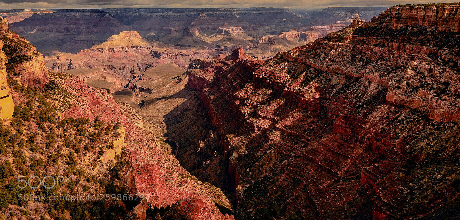 Nikon D800 sample photo. Untitled photography