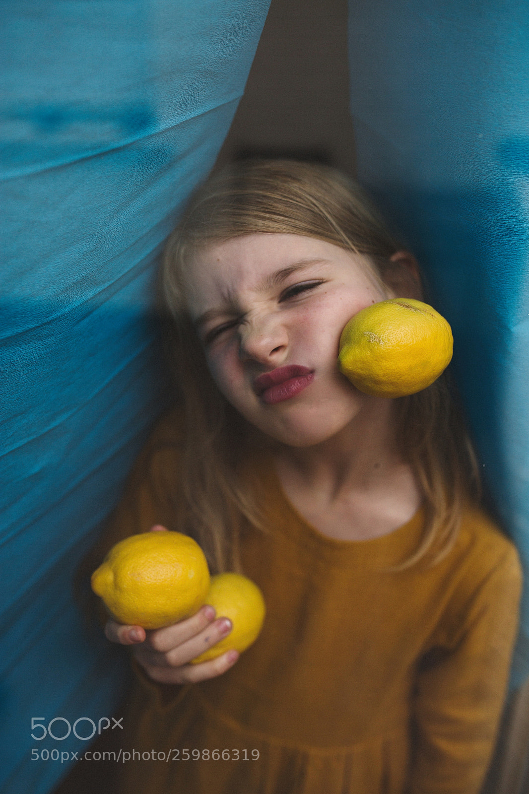 Canon EOS 6D sample photo. Lemon's mood photography
