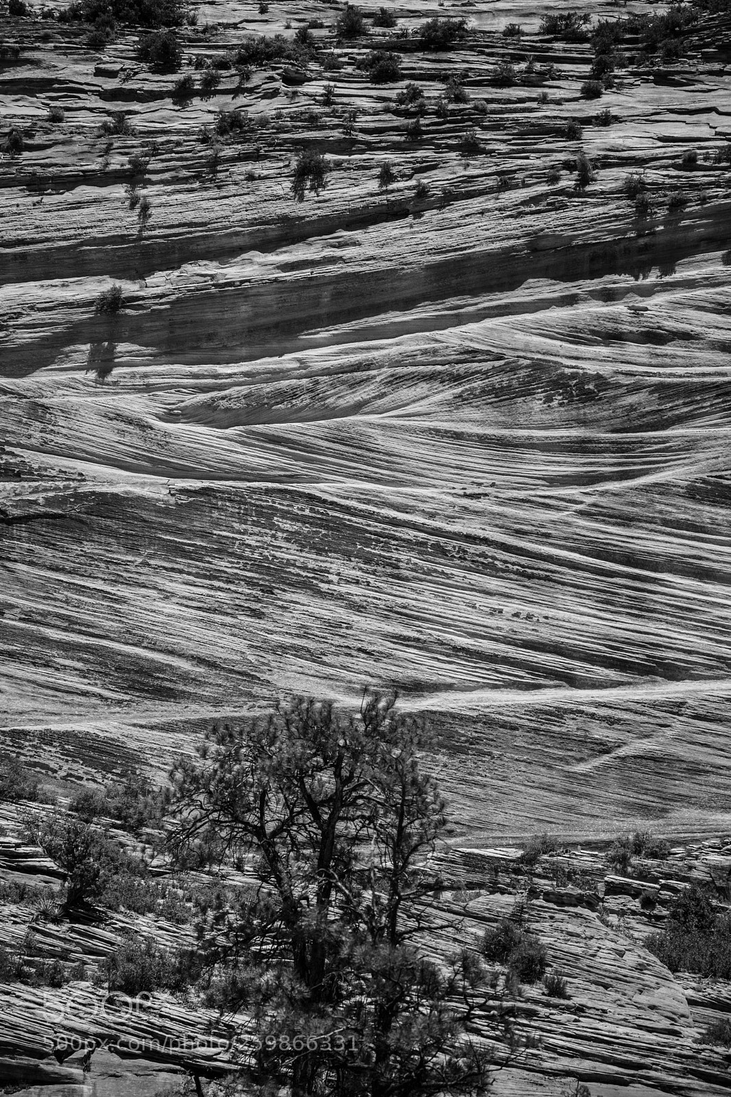 Canon EOS 5D Mark IV sample photo. Zion national park 1293 photography