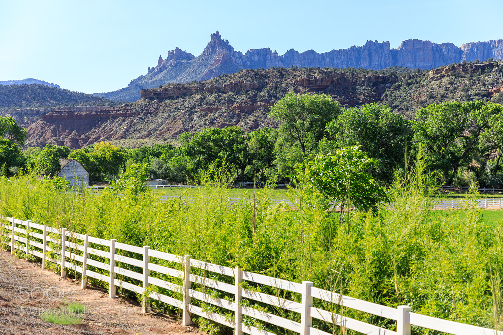 Canon EOS 5D Mark IV sample photo. Zion national park 1327 photography