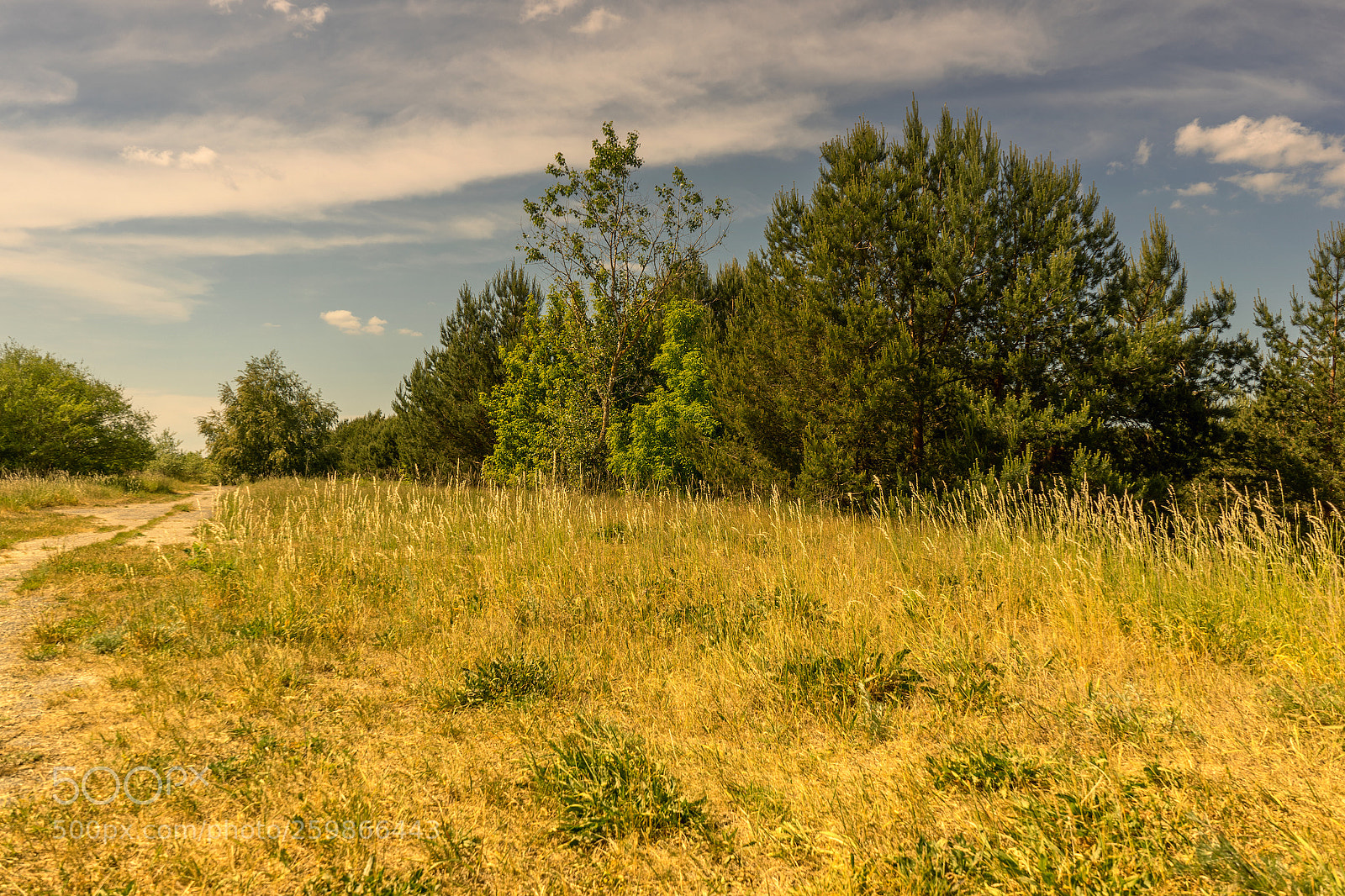 Sony a7 sample photo. Krummendammer heide photography