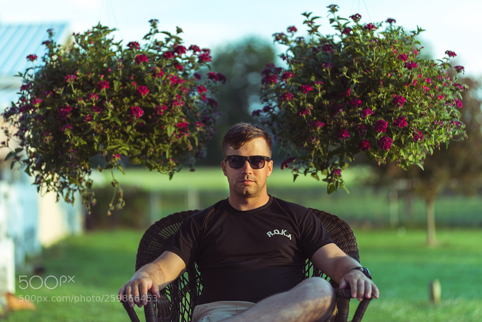 Nikon D750 sample photo. Between two ferns. photography