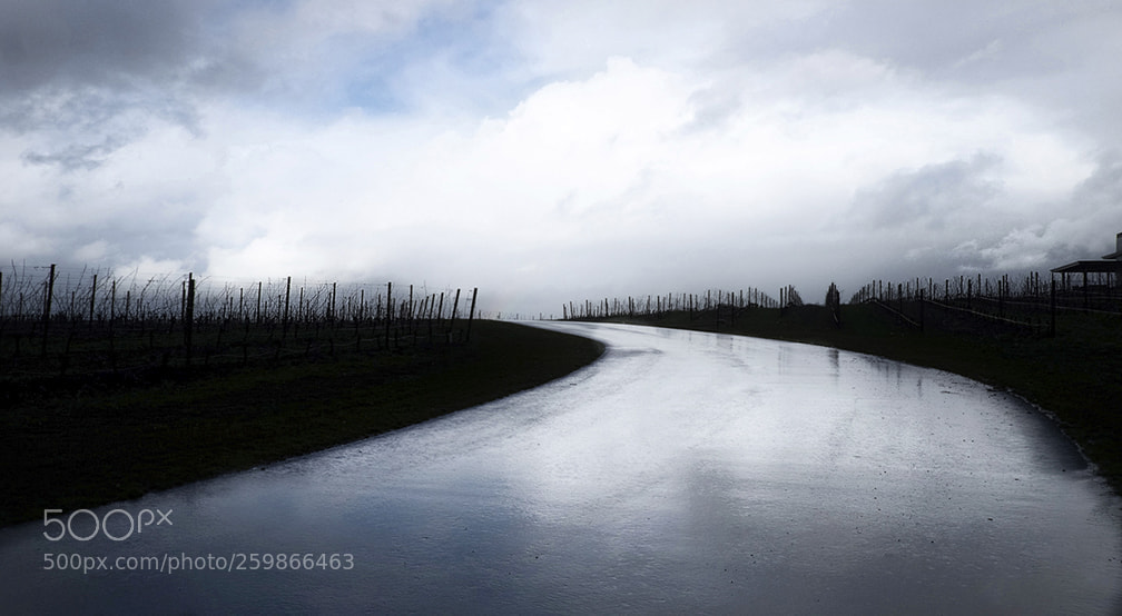 Fujifilm X-E2 sample photo. An oregon winery after photography