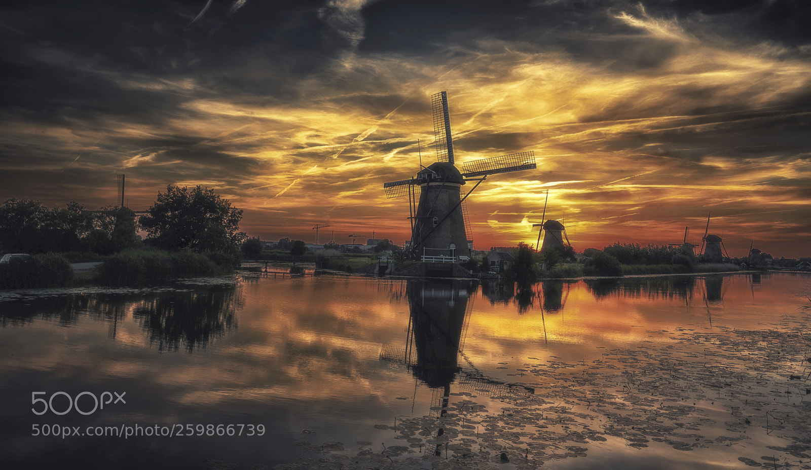 Sony a7R sample photo. So dutch photography