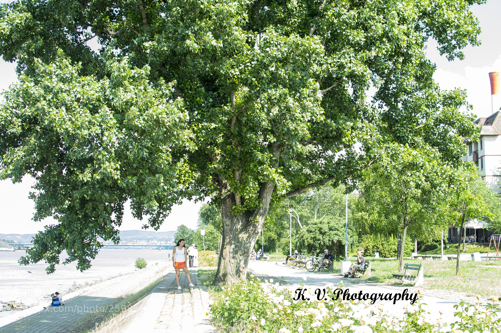 Nikon D3300 sample photo. Under the tree photography