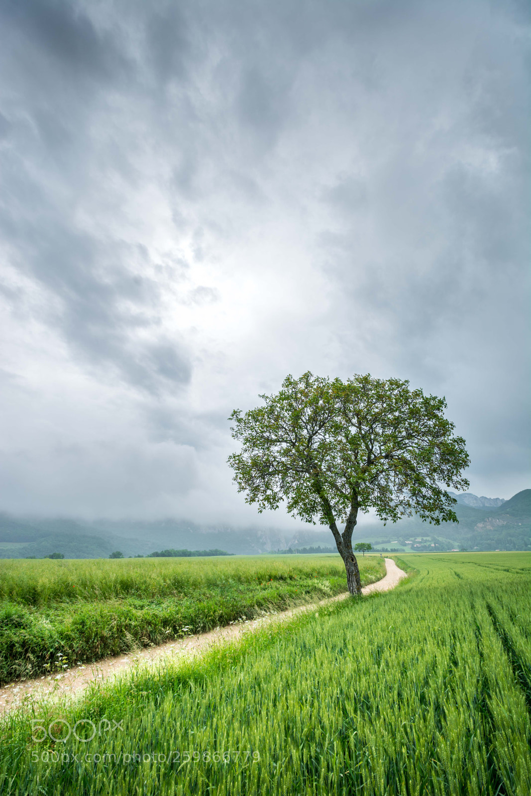 Nikon D7100 sample photo. Campagne photography