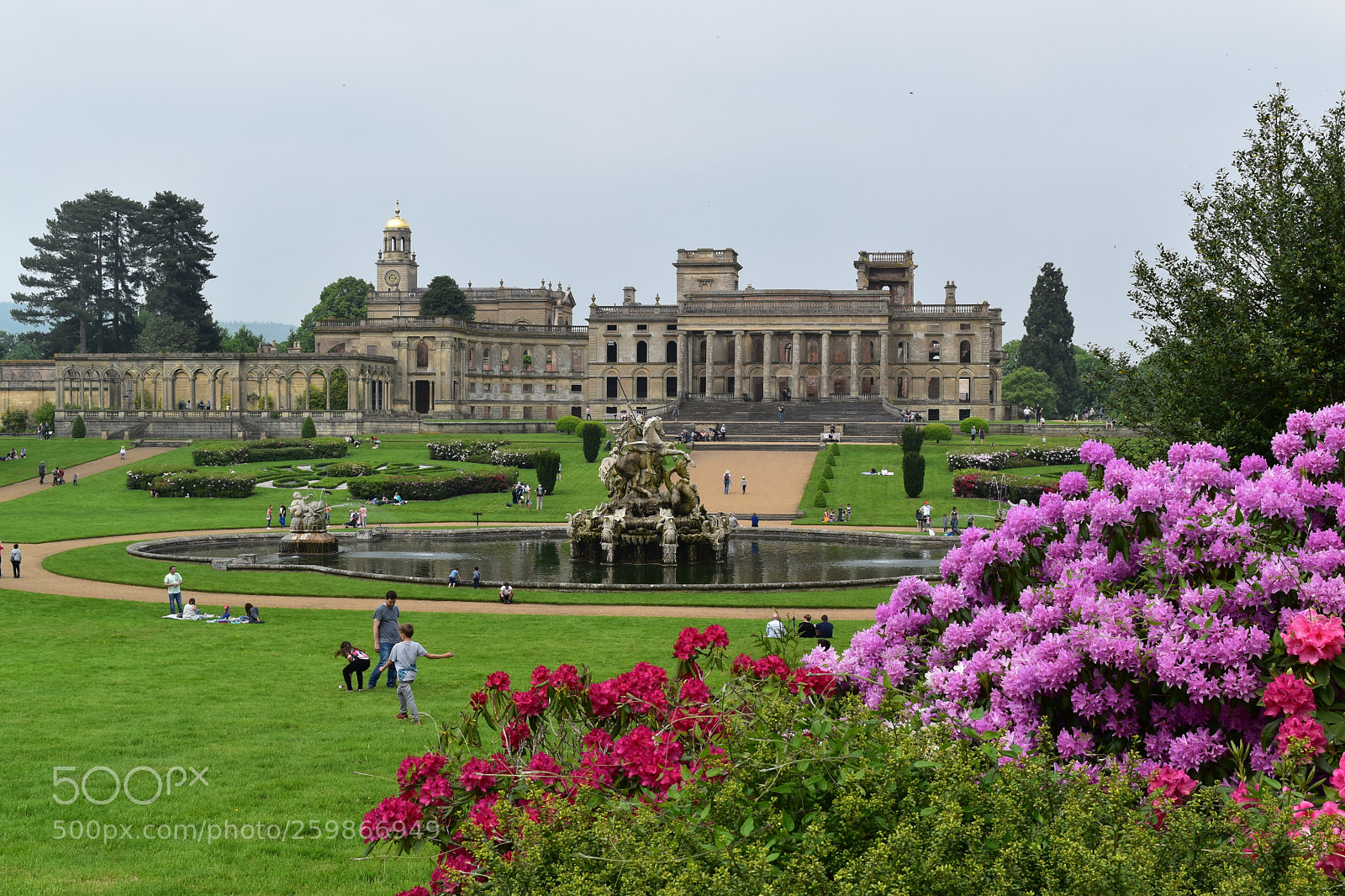 Nikon D5500 sample photo. Witley court & flowers photography