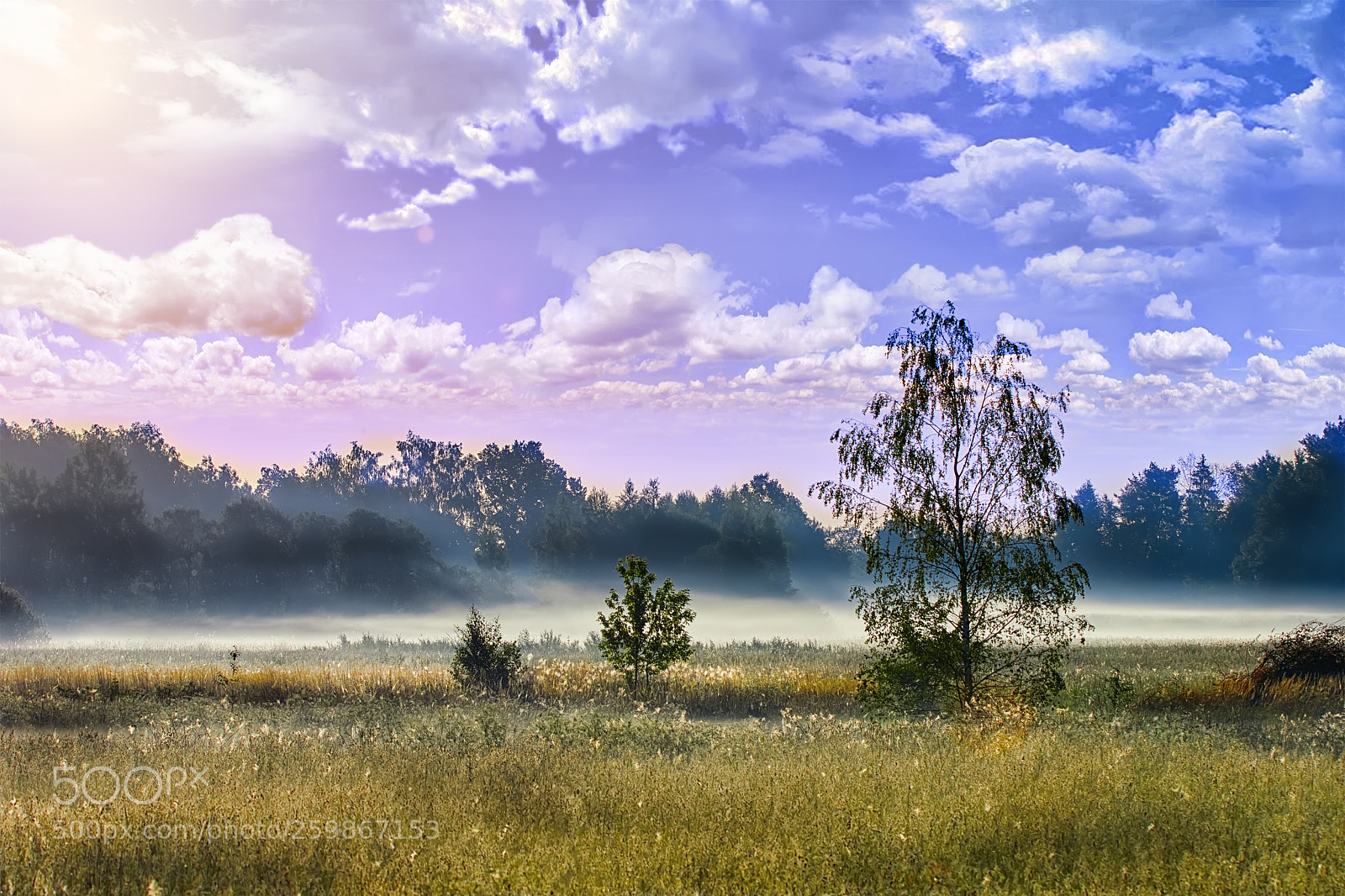 Canon EOS 7D Mark II sample photo. Morning landscape in summer photography
